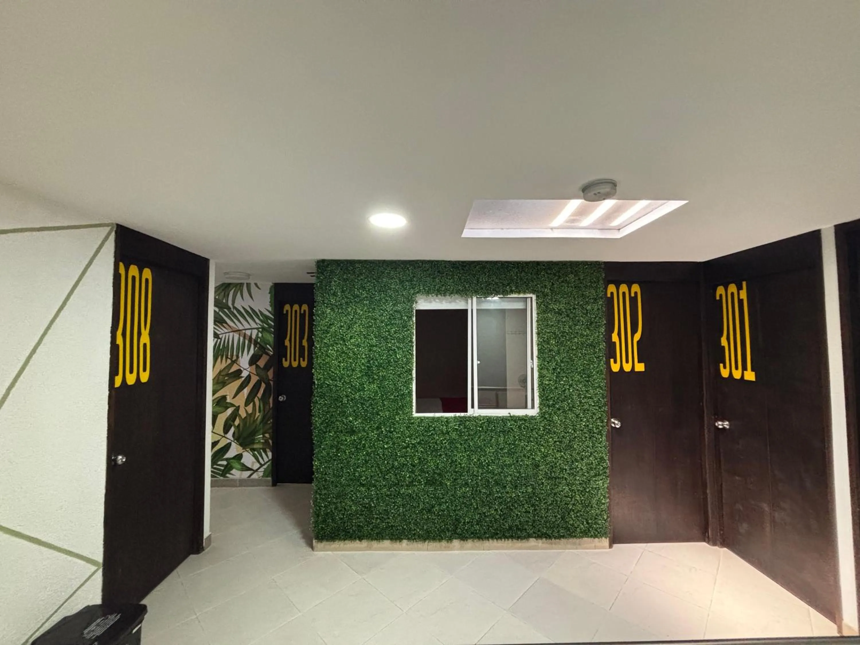 Area and facilities in DAM Hotel Pereira