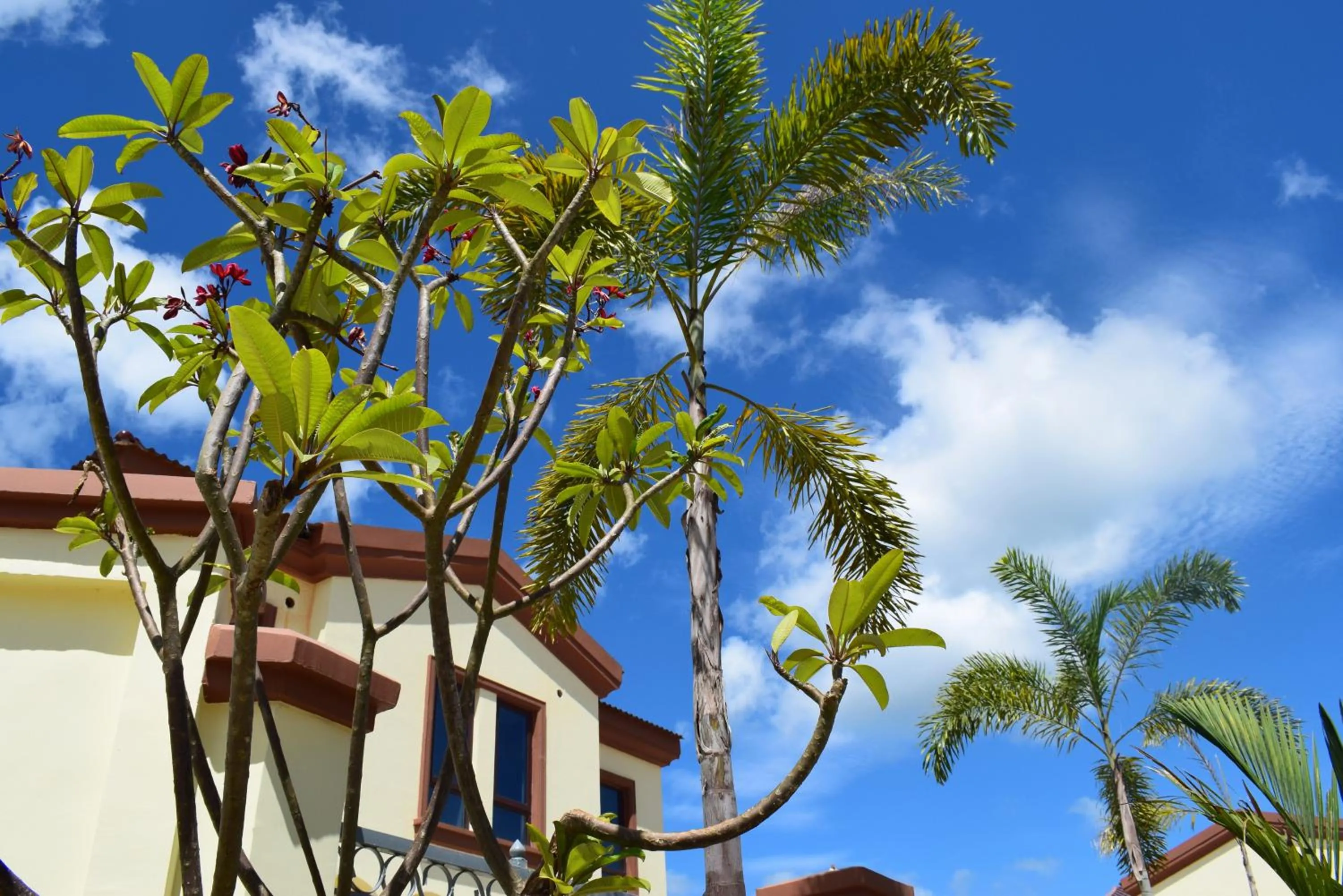 Property building in Sealong Bay ZhongQi Conifer Hotel 海龙湾中启康年酒店