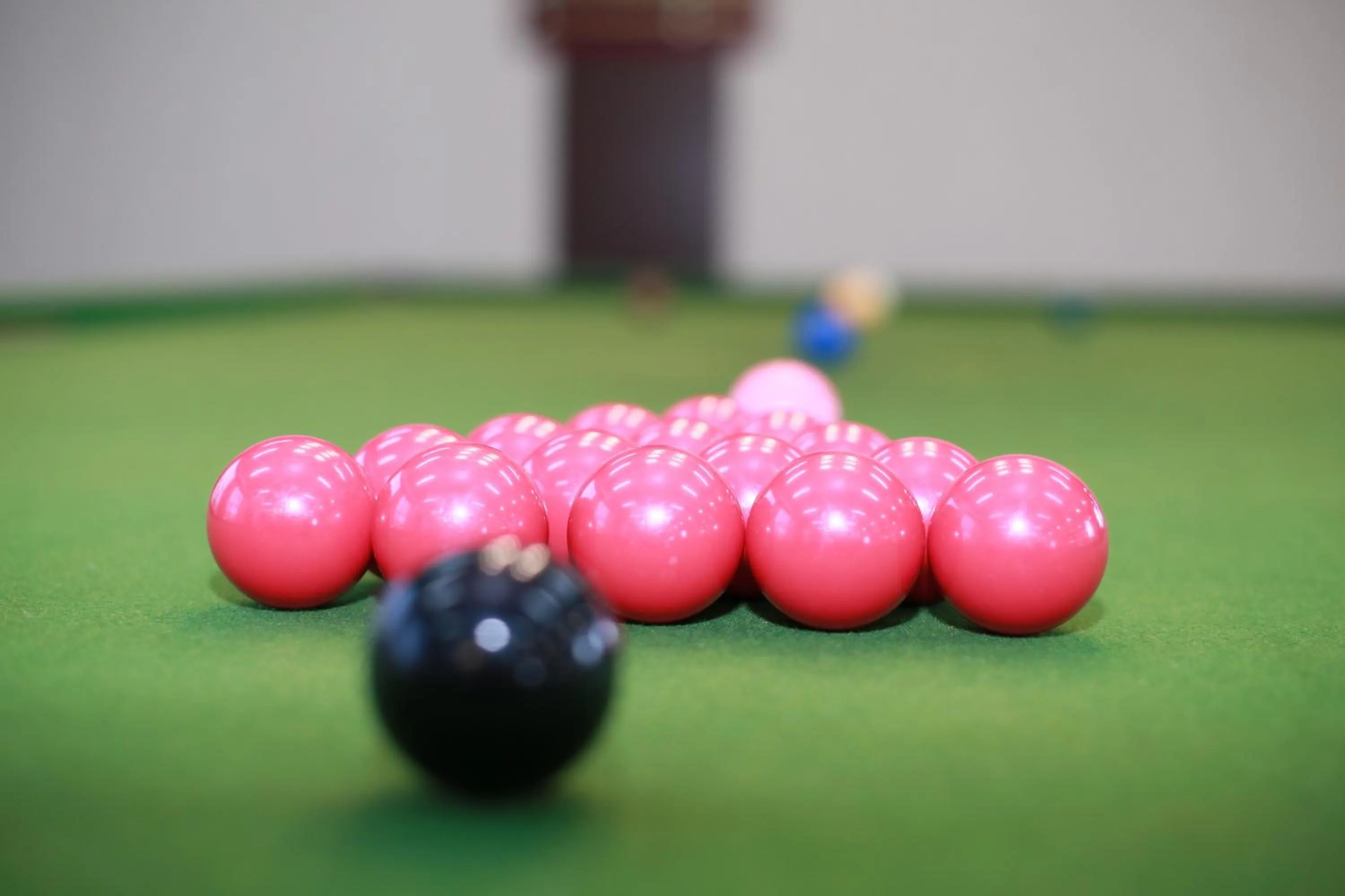 Sealong Bay ZhongQi Conifer Hotel 海龙湾中启康年酒店