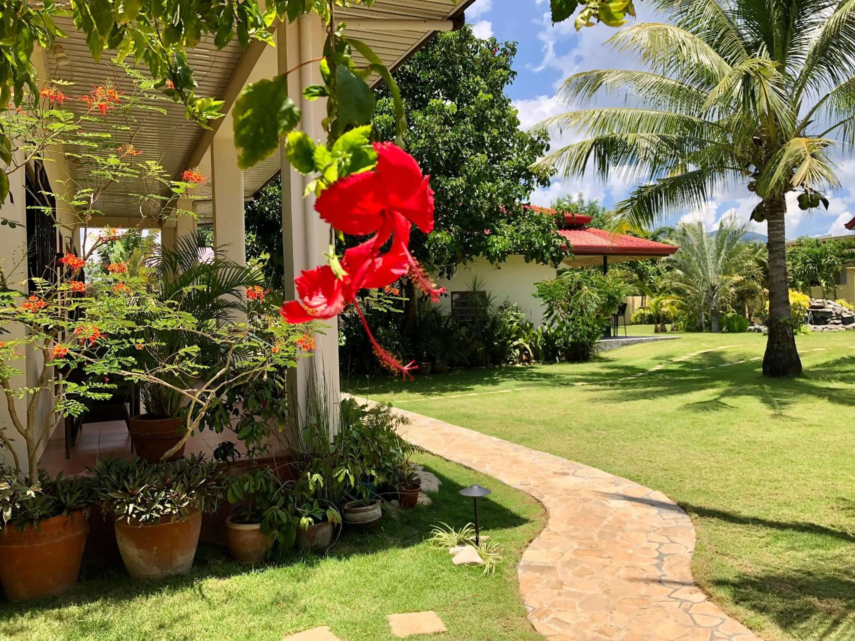 Garden in Strutz Art Garden Resort