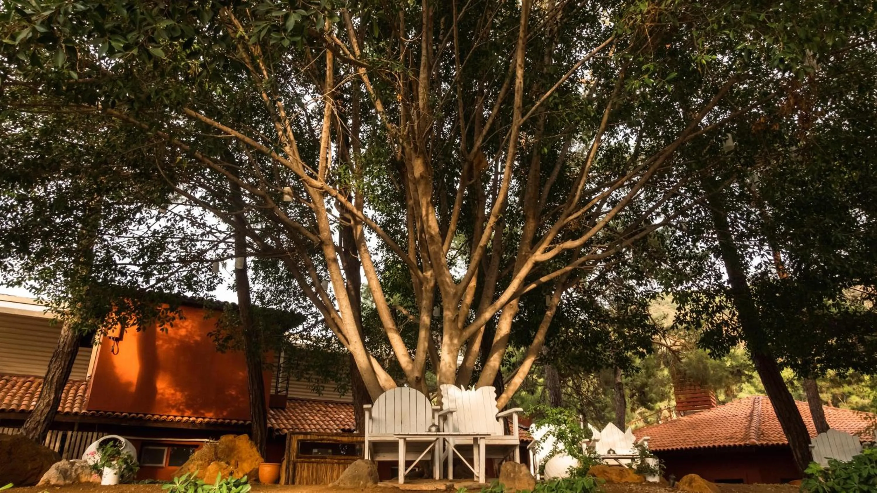 Balcony/Terrace in Marmaris Bay Resort - Adults Only