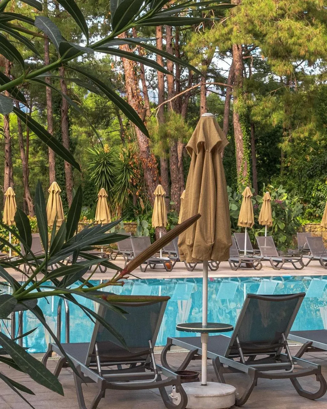 Swimming pool in Marmaris Bay Resort - Adults Only