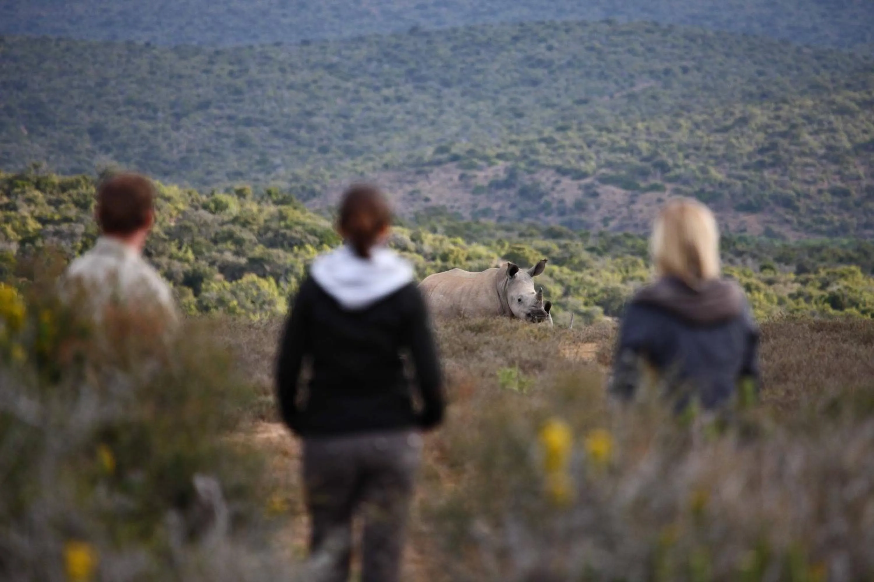Hiking in Kwandwe Private Game Reserve - Fort House