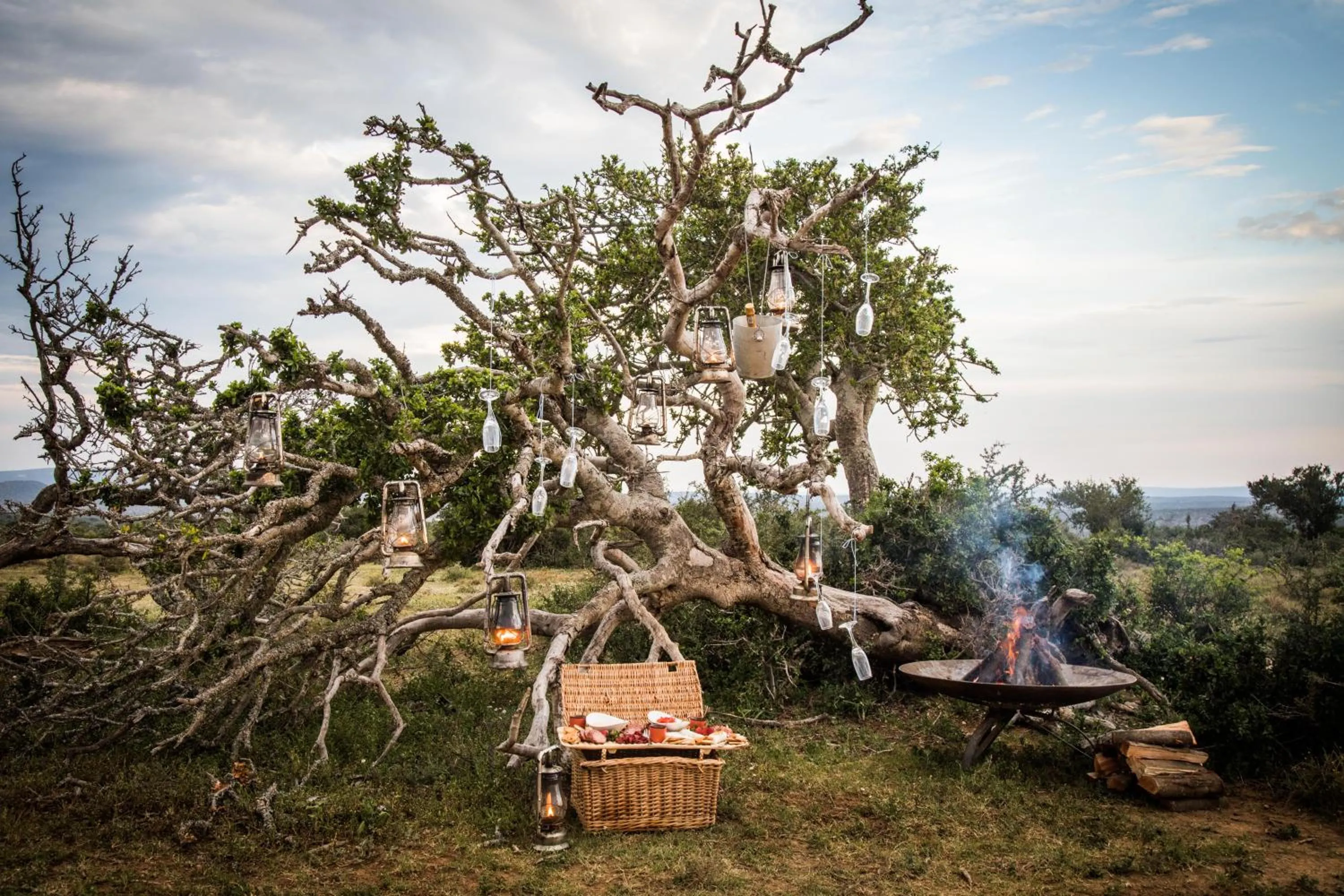 Garden in Kwandwe Private Game Reserve - Fort House
