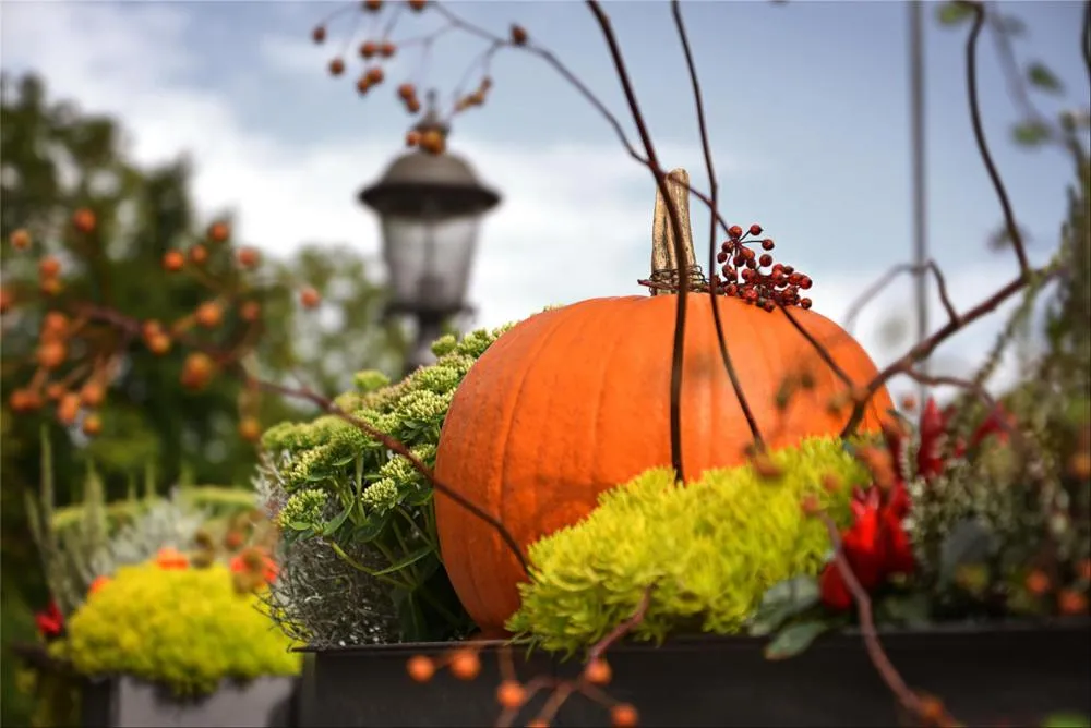 Decorative detail in Hotel Zur Linde