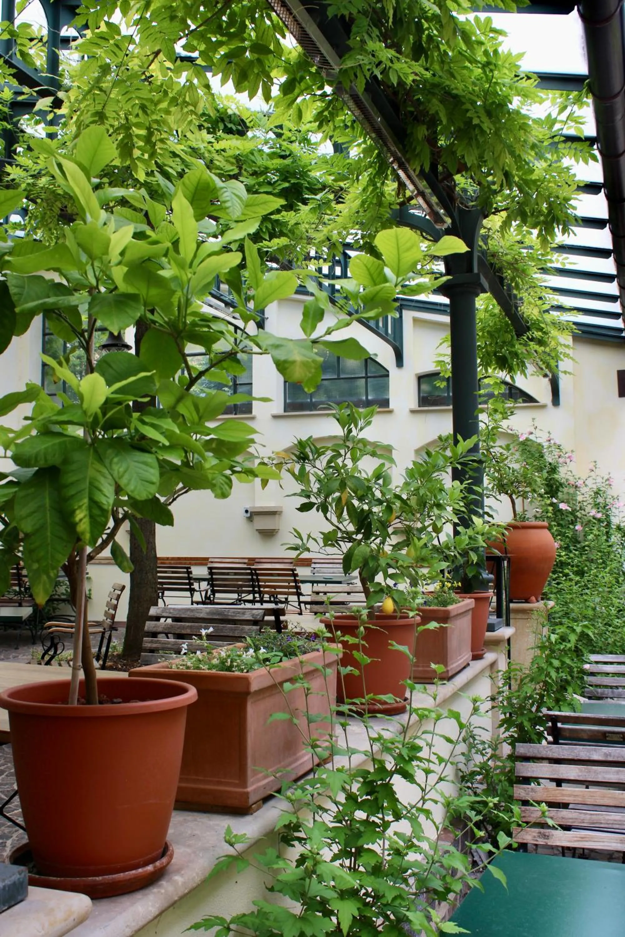 Garden in Hotel Alma Am Anger