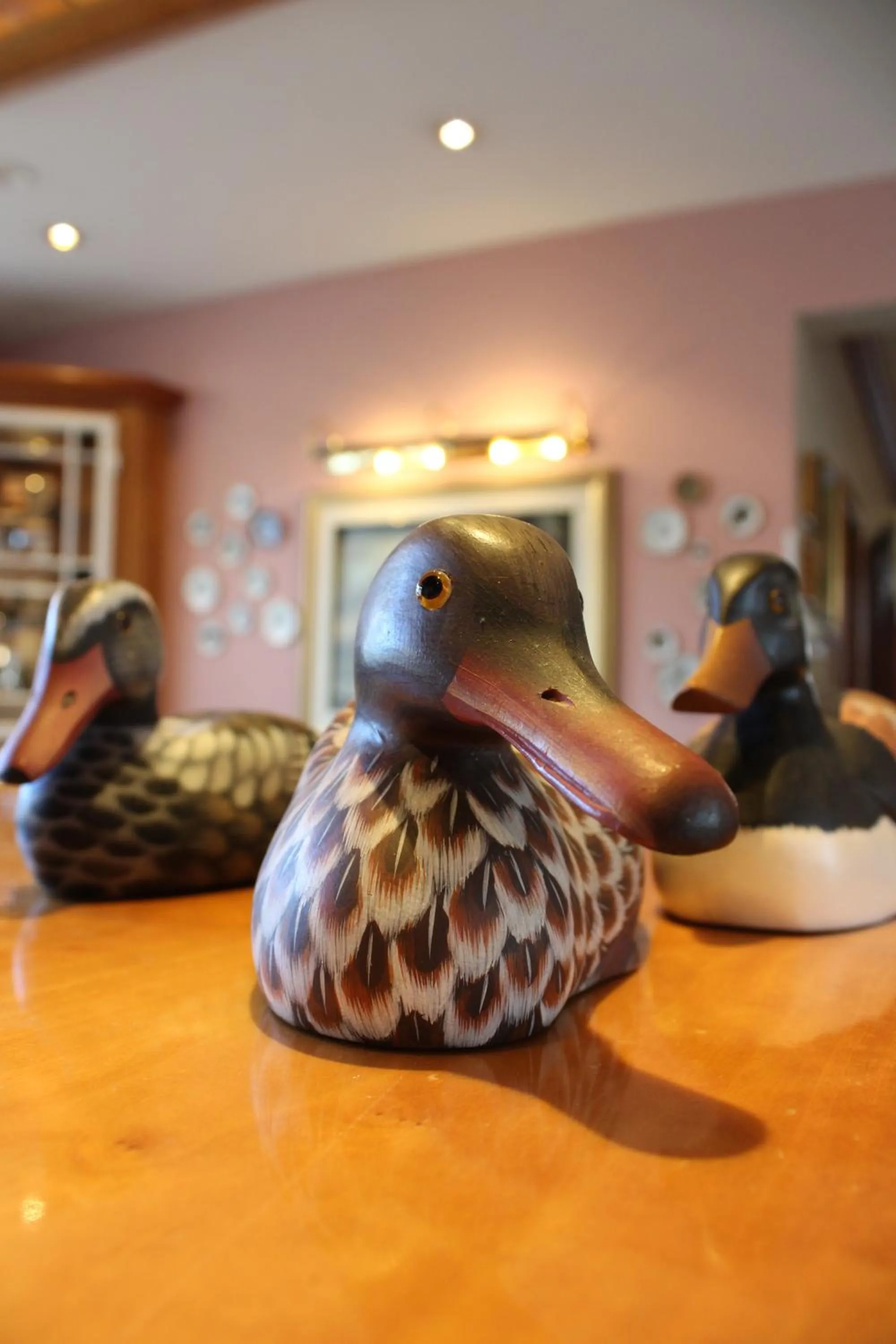 Lounge or bar in Hotel Alma Am Anger