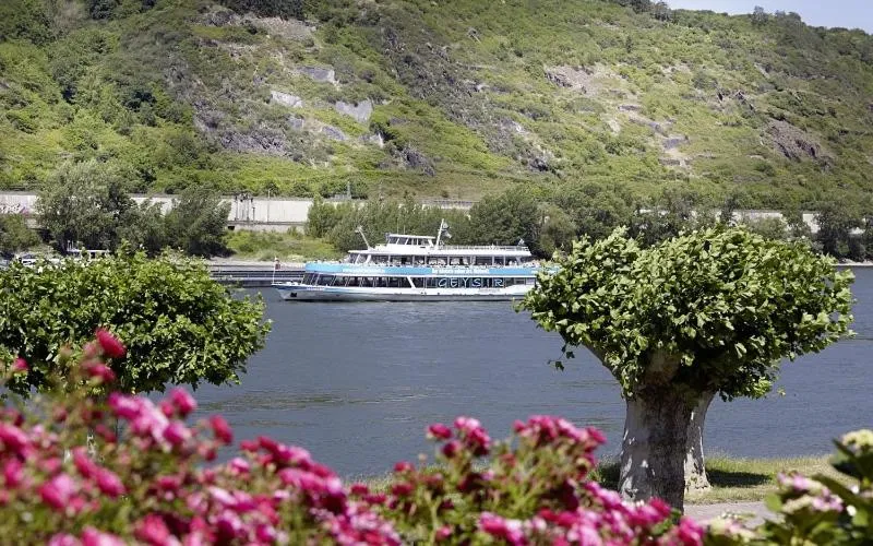 Entertainment in Hotel Villa am Rhein