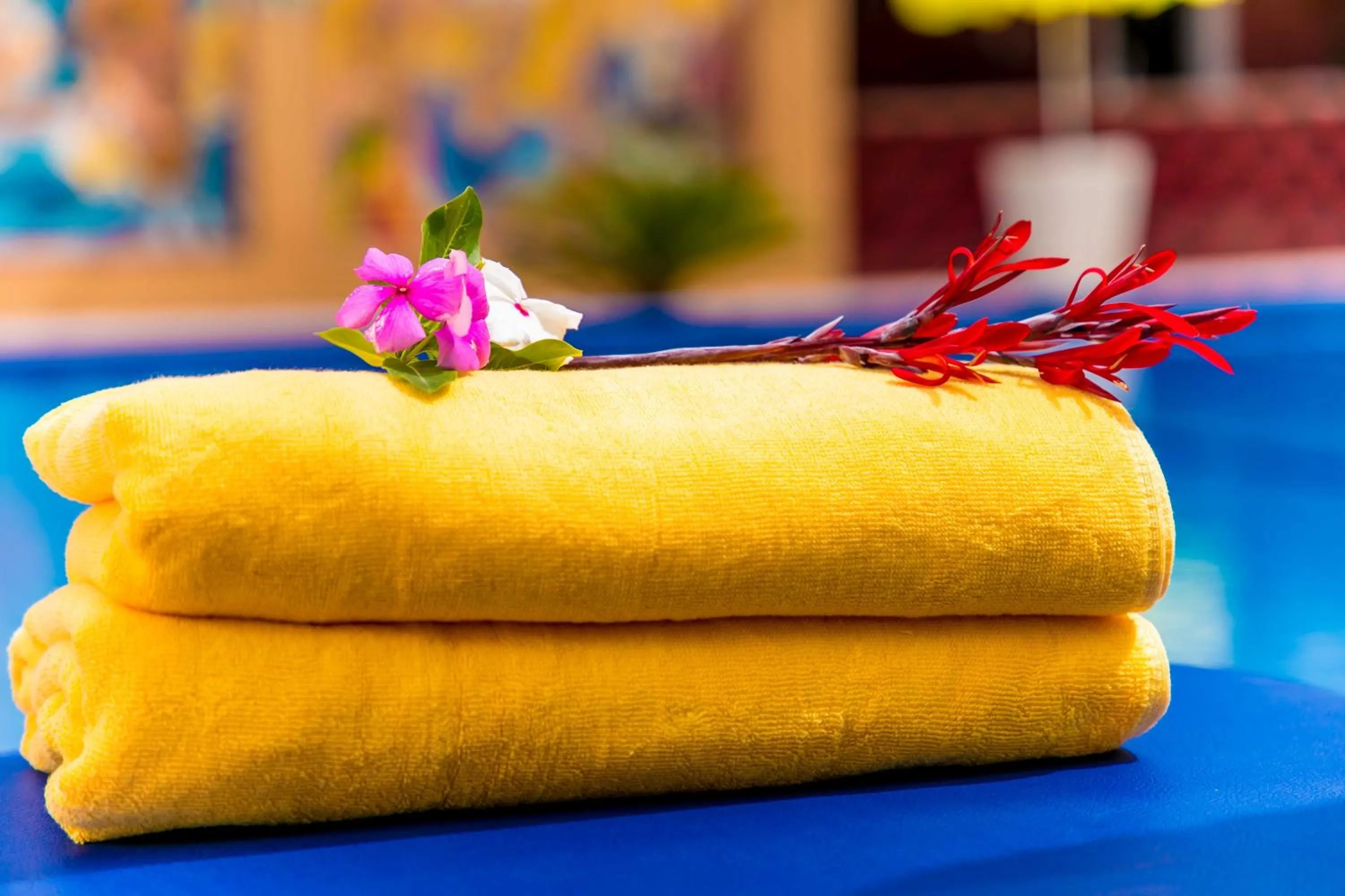 Food and drinks in Tropic Garden Hotel