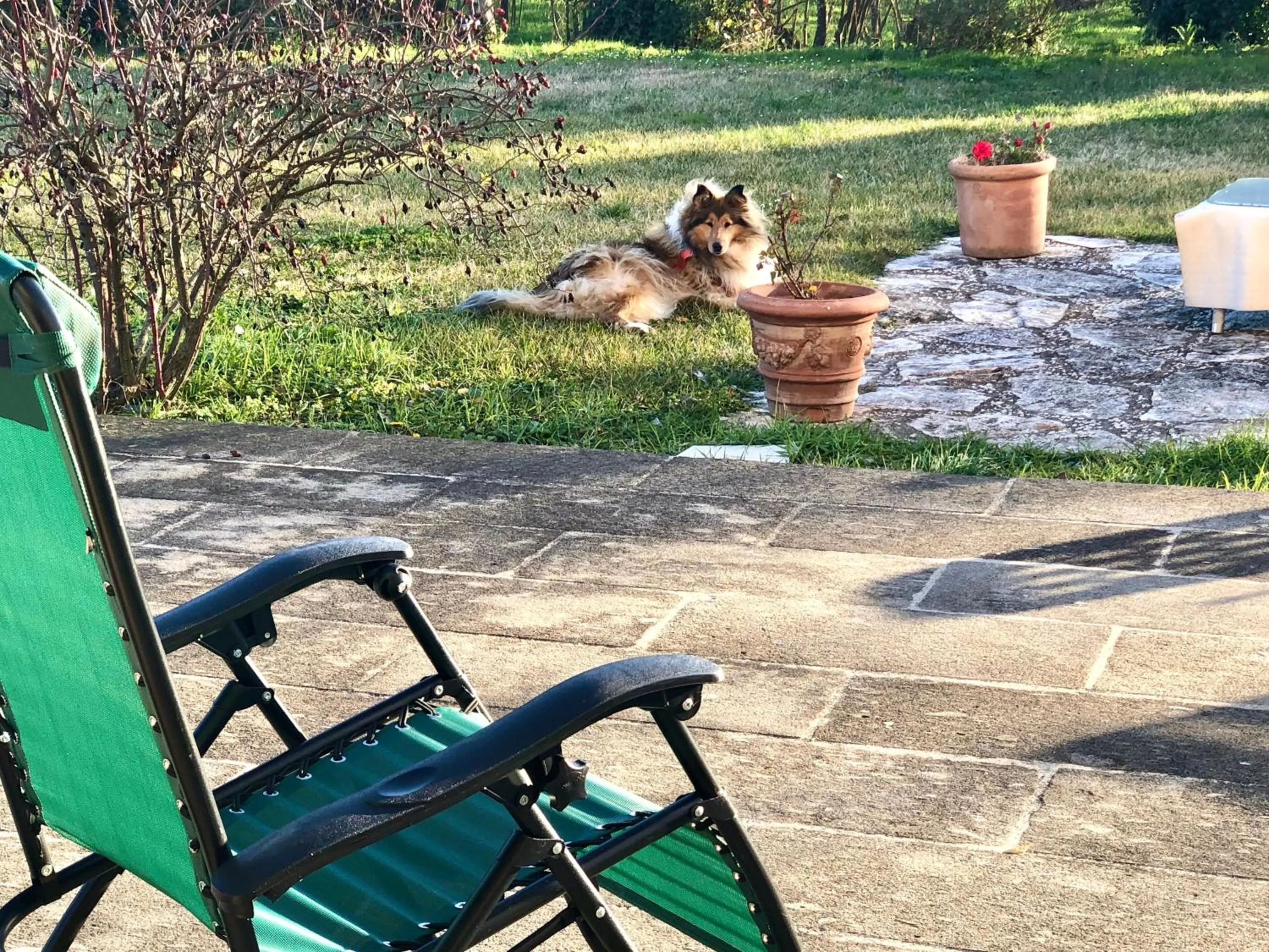 Casale Fedele Relax B&B Vicino al Borgo