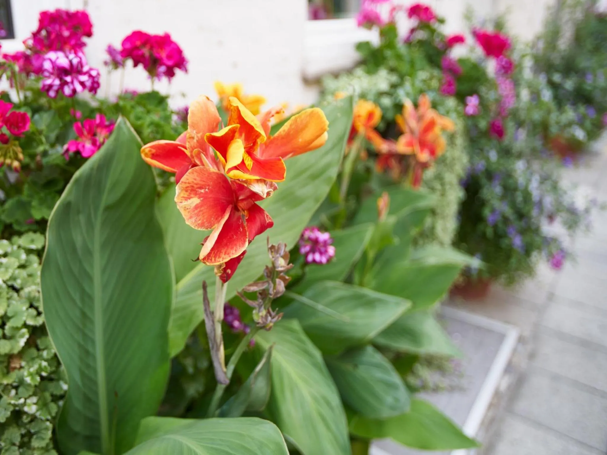 Patio in Hotel Alfa Zentrum