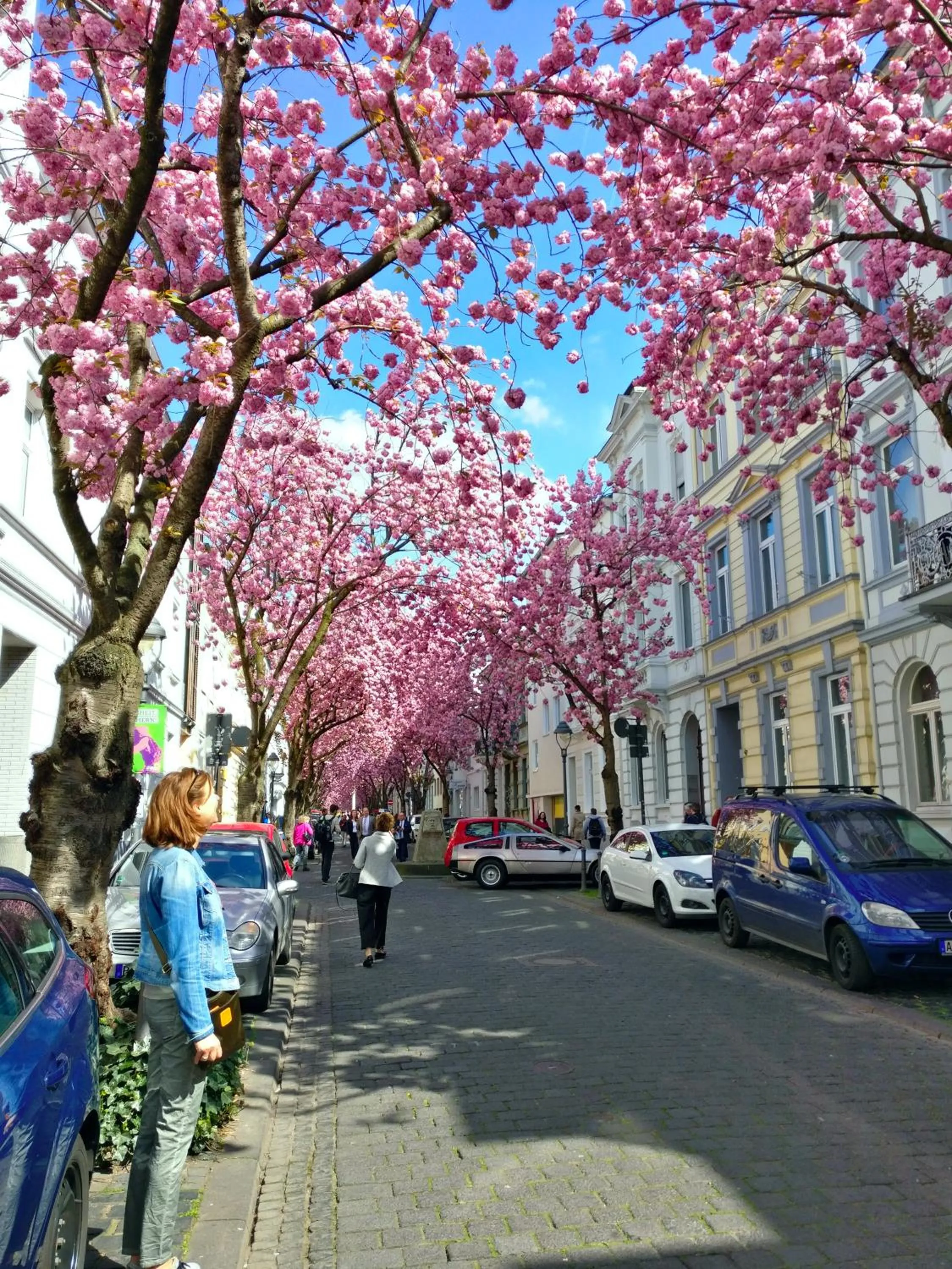 Landmark view in Apartmenthotel Kaiser Karl