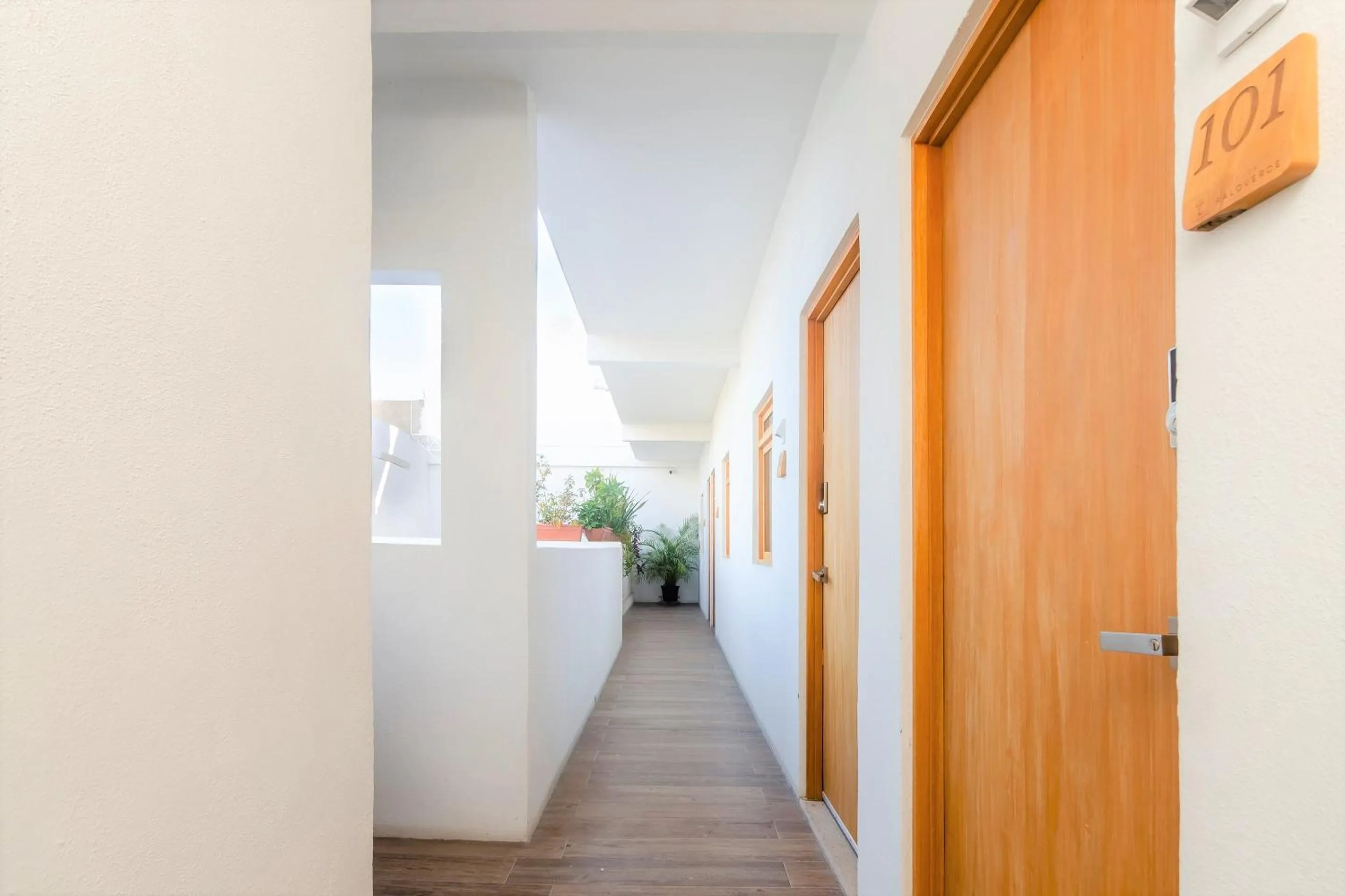 Property building in Casa Palo Verde