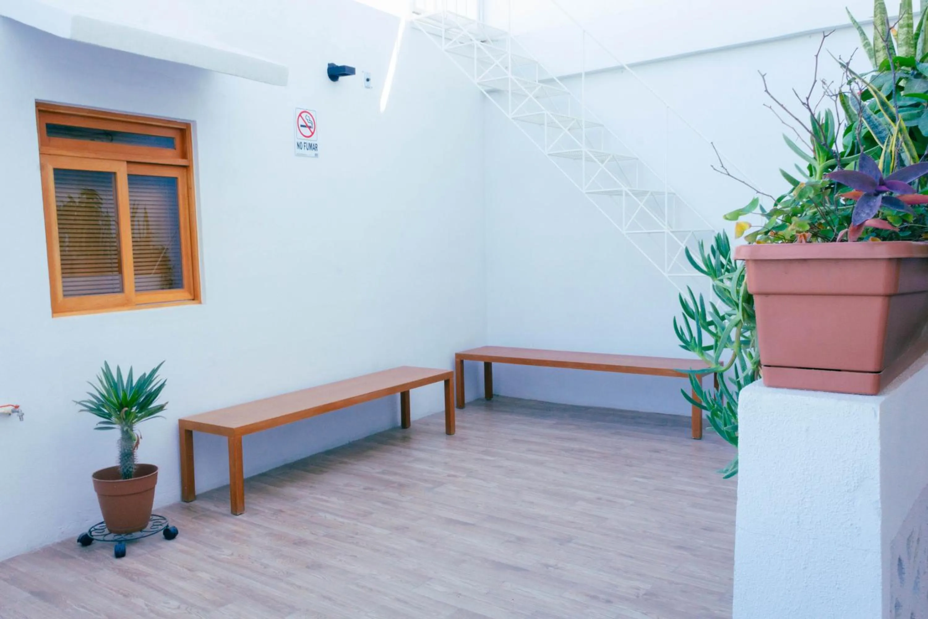 Balcony/Terrace in Casa Palo Verde