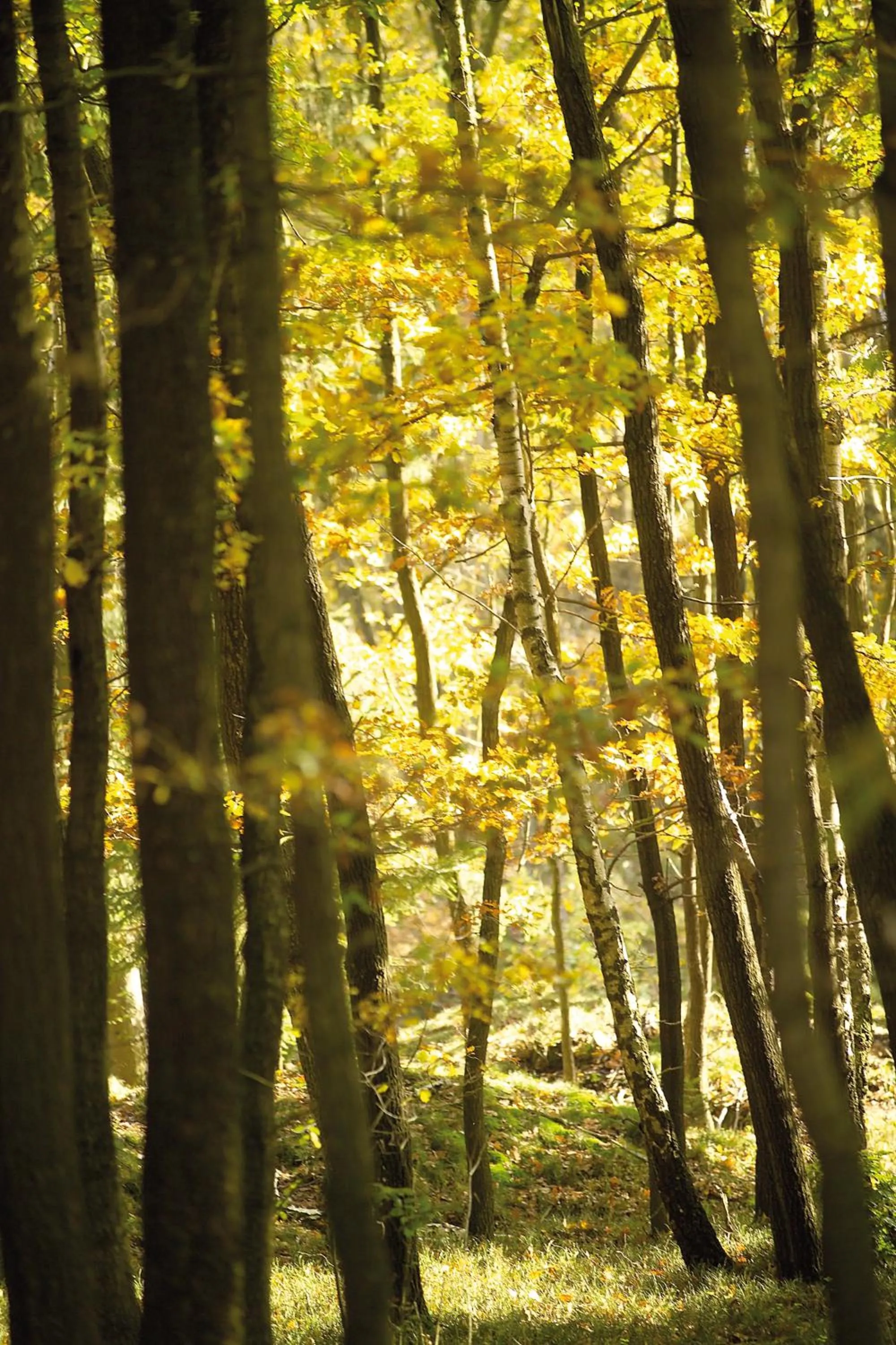 Hiking in Gästehaus Wilgersdorf GmbH
