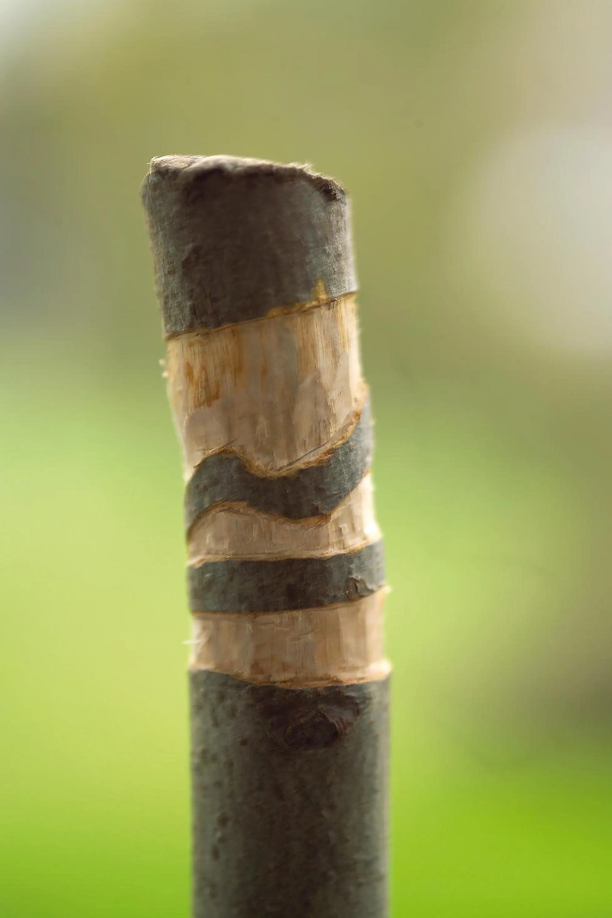 Decorative detail in Gästehaus Wilgersdorf GmbH