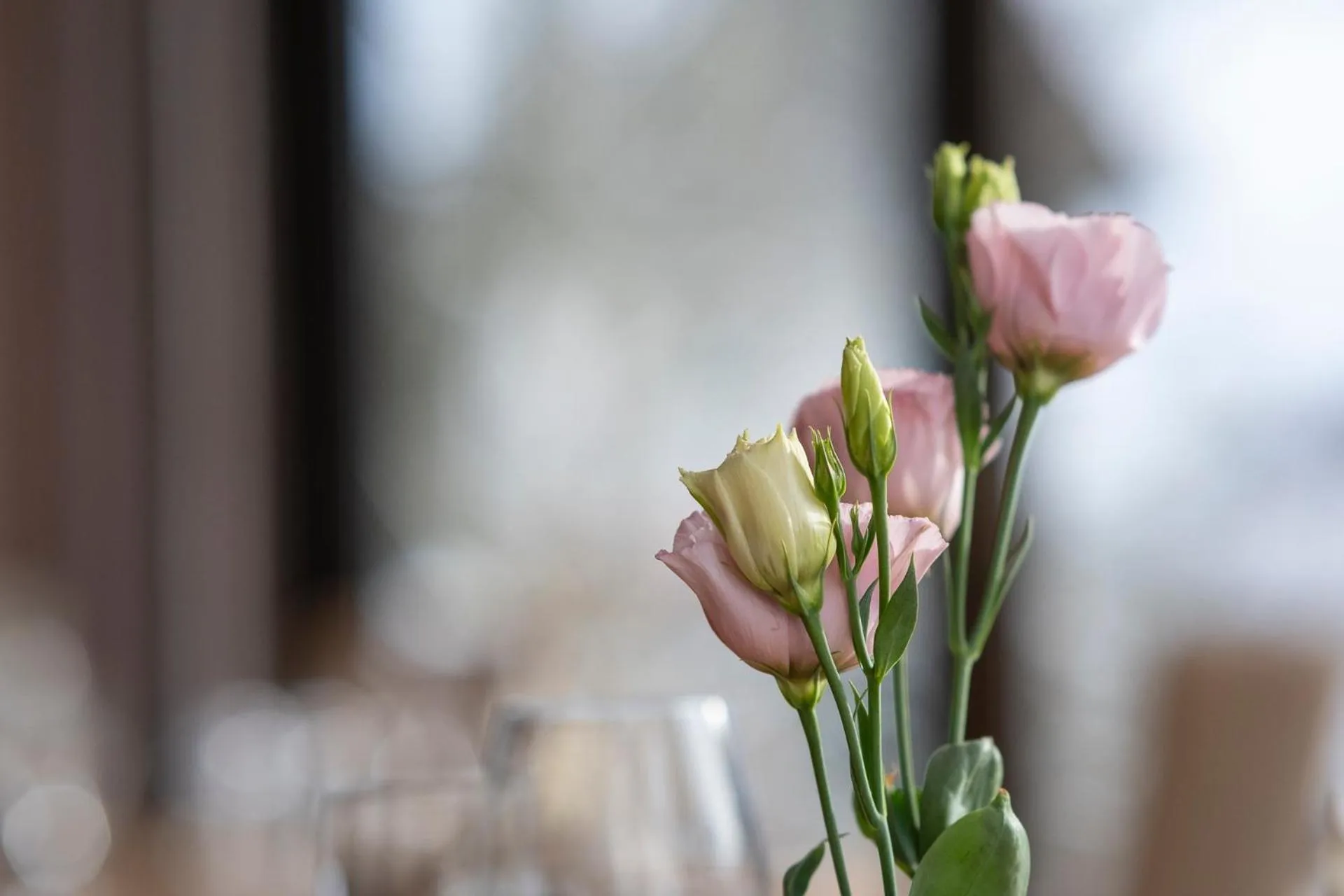 Restaurant/places to eat in Hotel im Auerbachtal