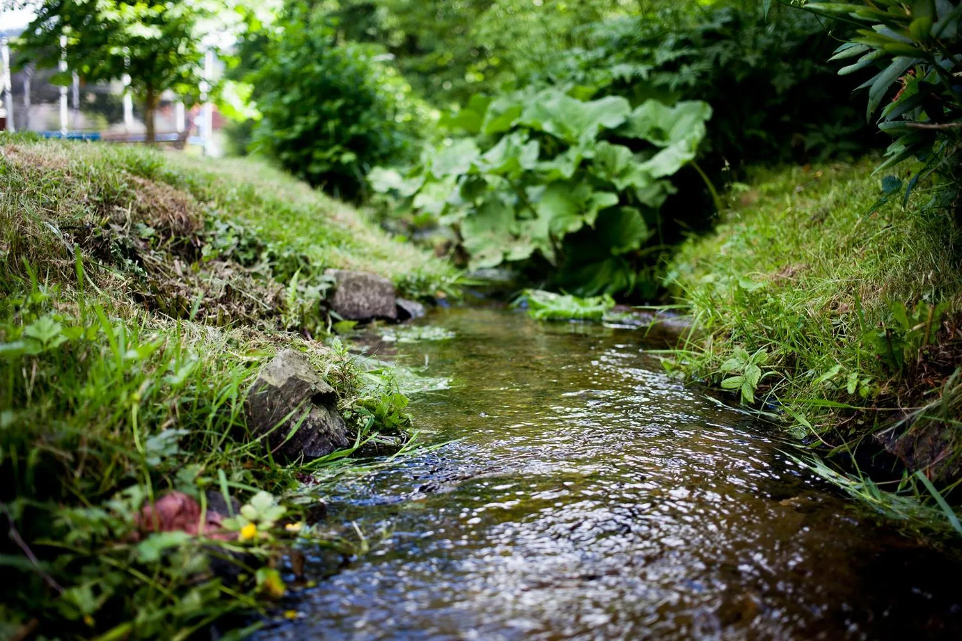 River view in Hotel im Auerbachtal