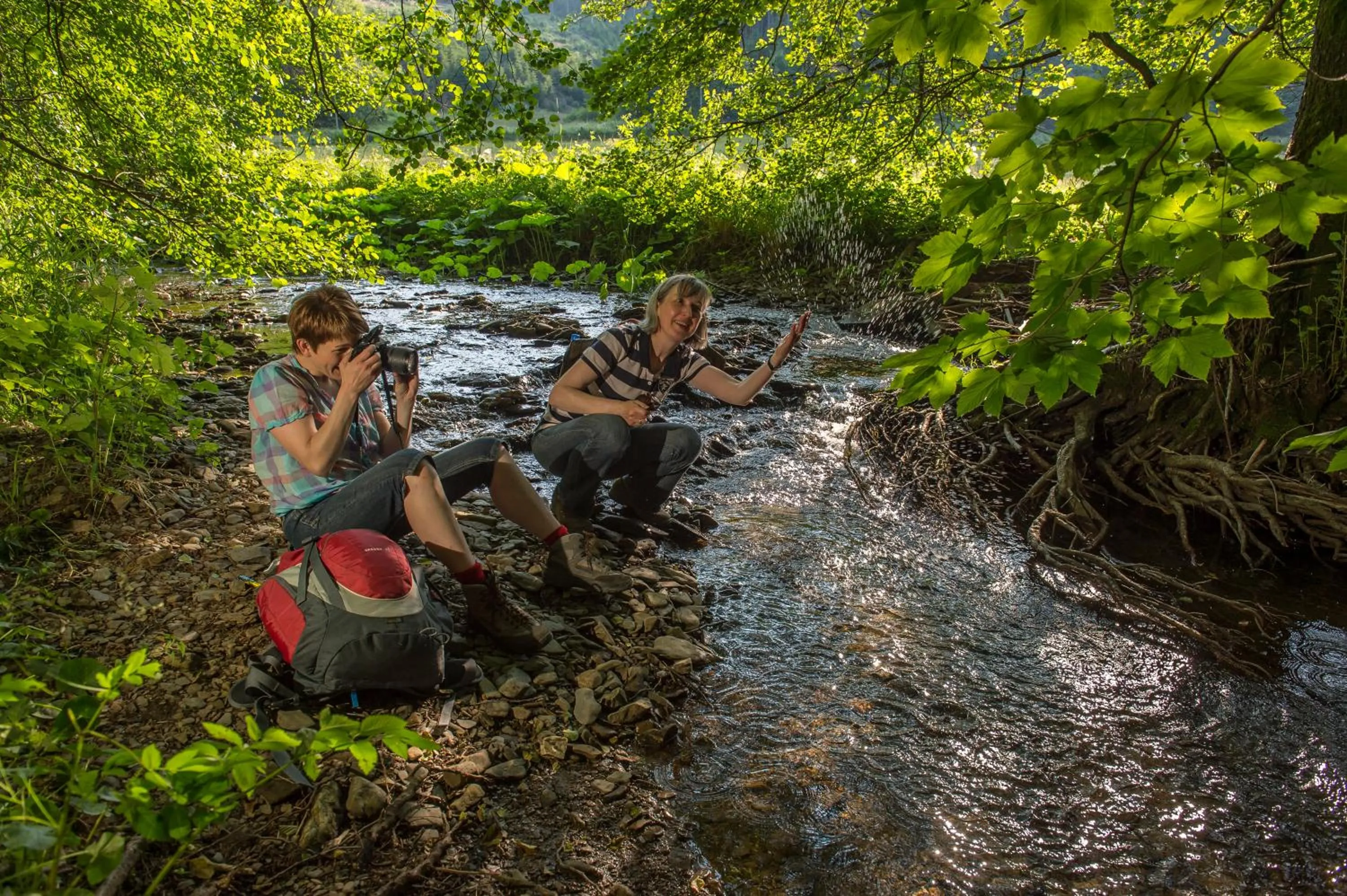 Hiking in Hotel im Auerbachtal