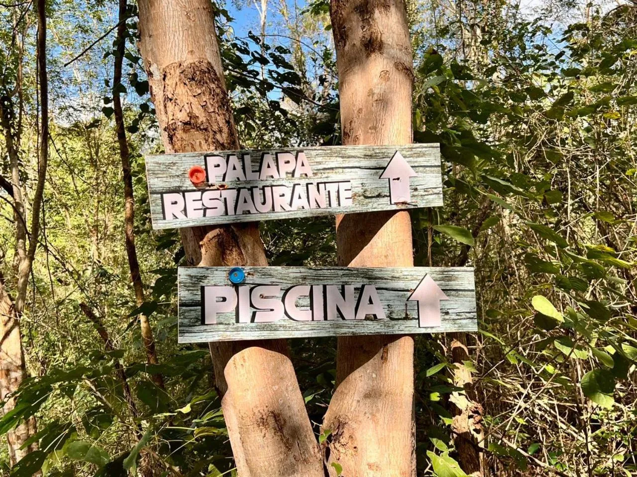 Spring in El Encanto - Hotel Boutique