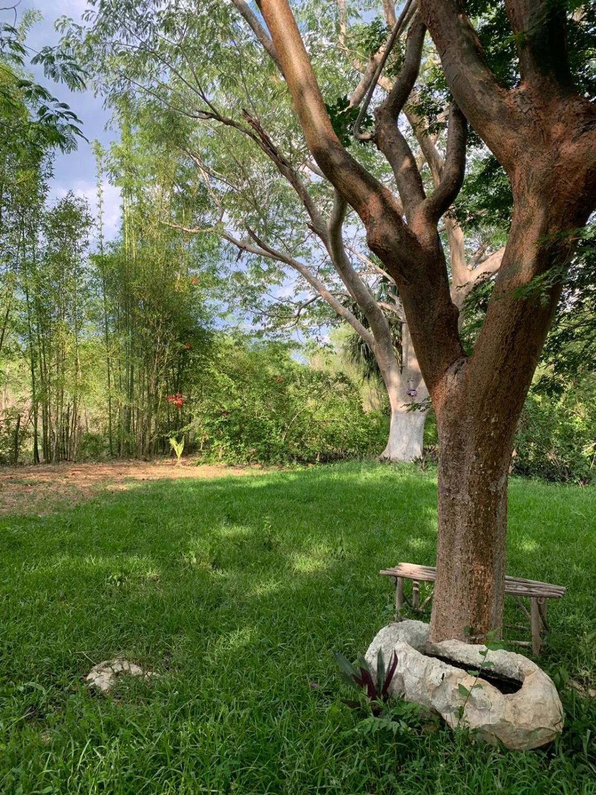 Day in El Encanto - Hotel Boutique