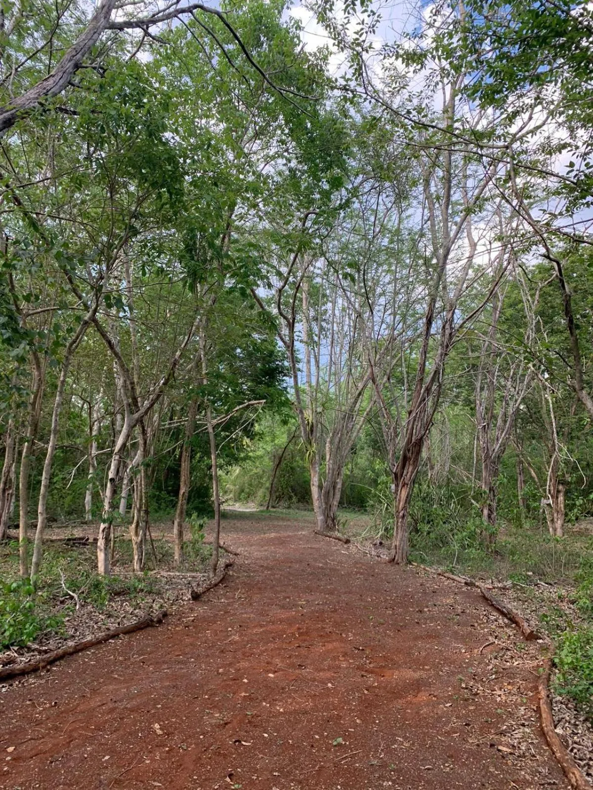 Day in El Encanto - Hotel Boutique