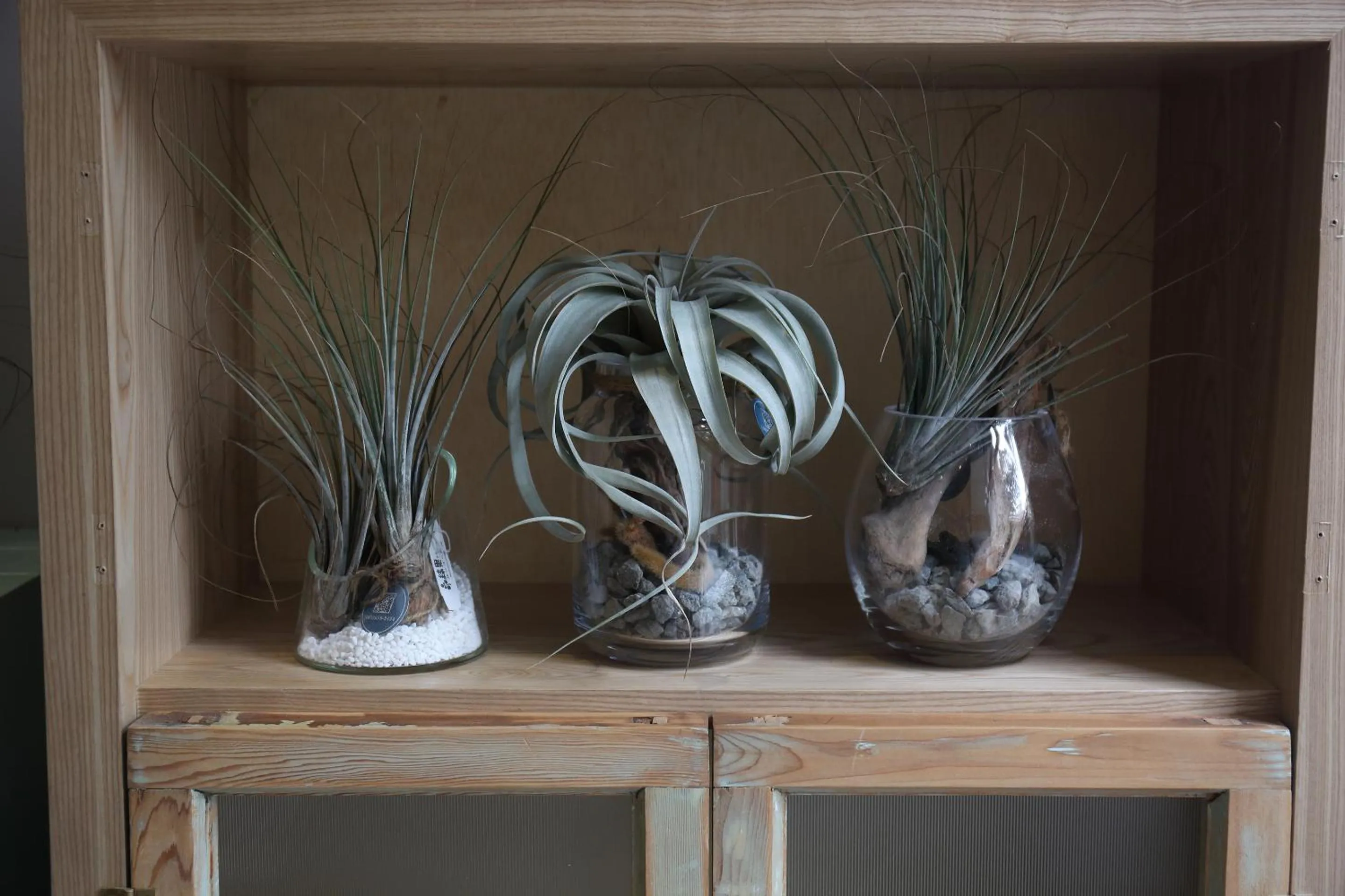 Communal lounge/ TV room in Spring Guest House