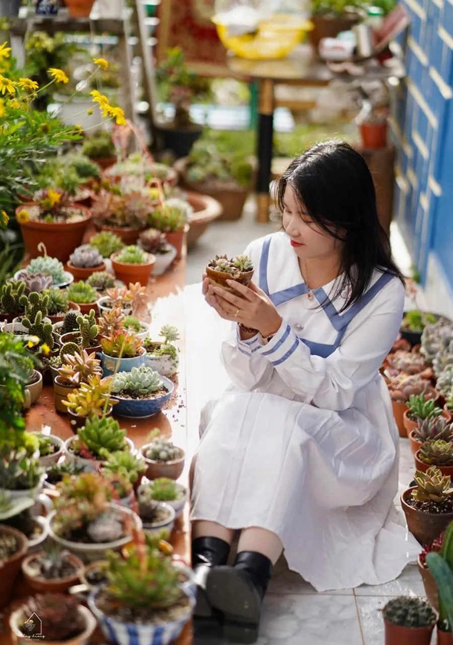 Garden in HOMESTAY THÙY DƯƠNG