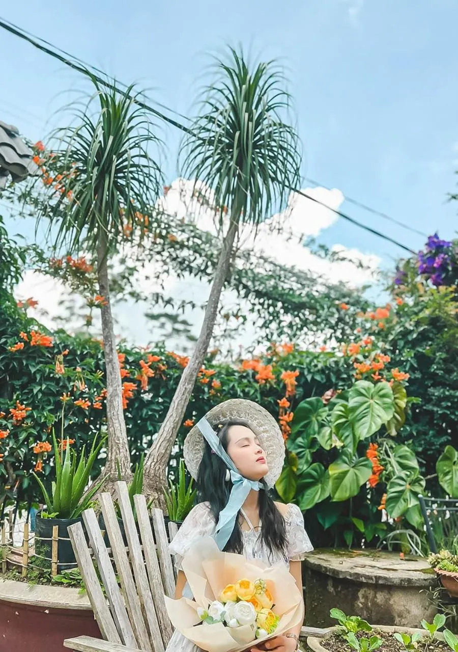 Natural landscape in HOMESTAY THÙY DƯƠNG