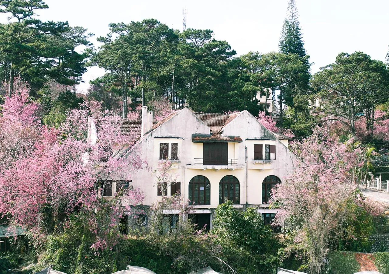 Spring in HOMESTAY THÙY DƯƠNG