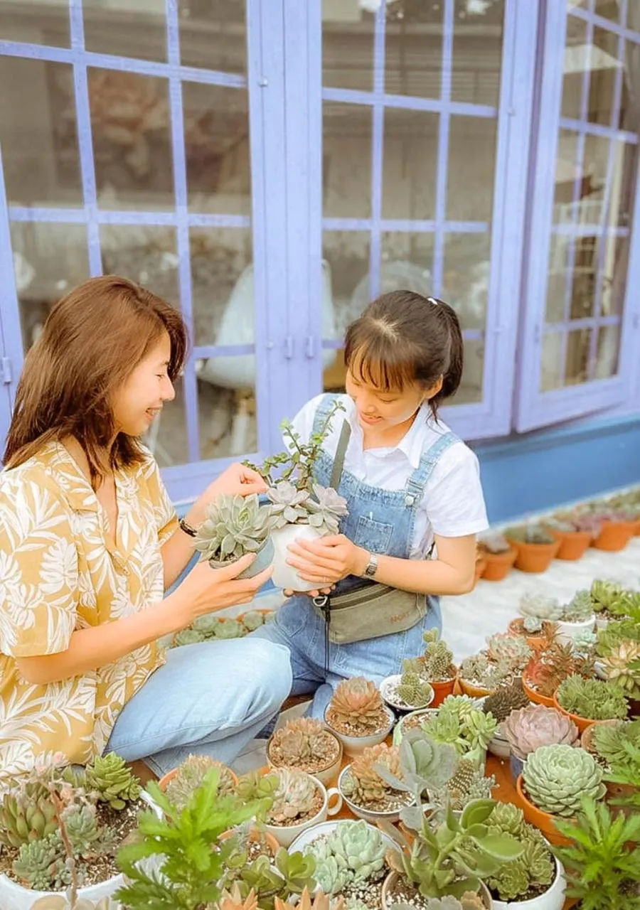 Garden in HOMESTAY THÙY DƯƠNG