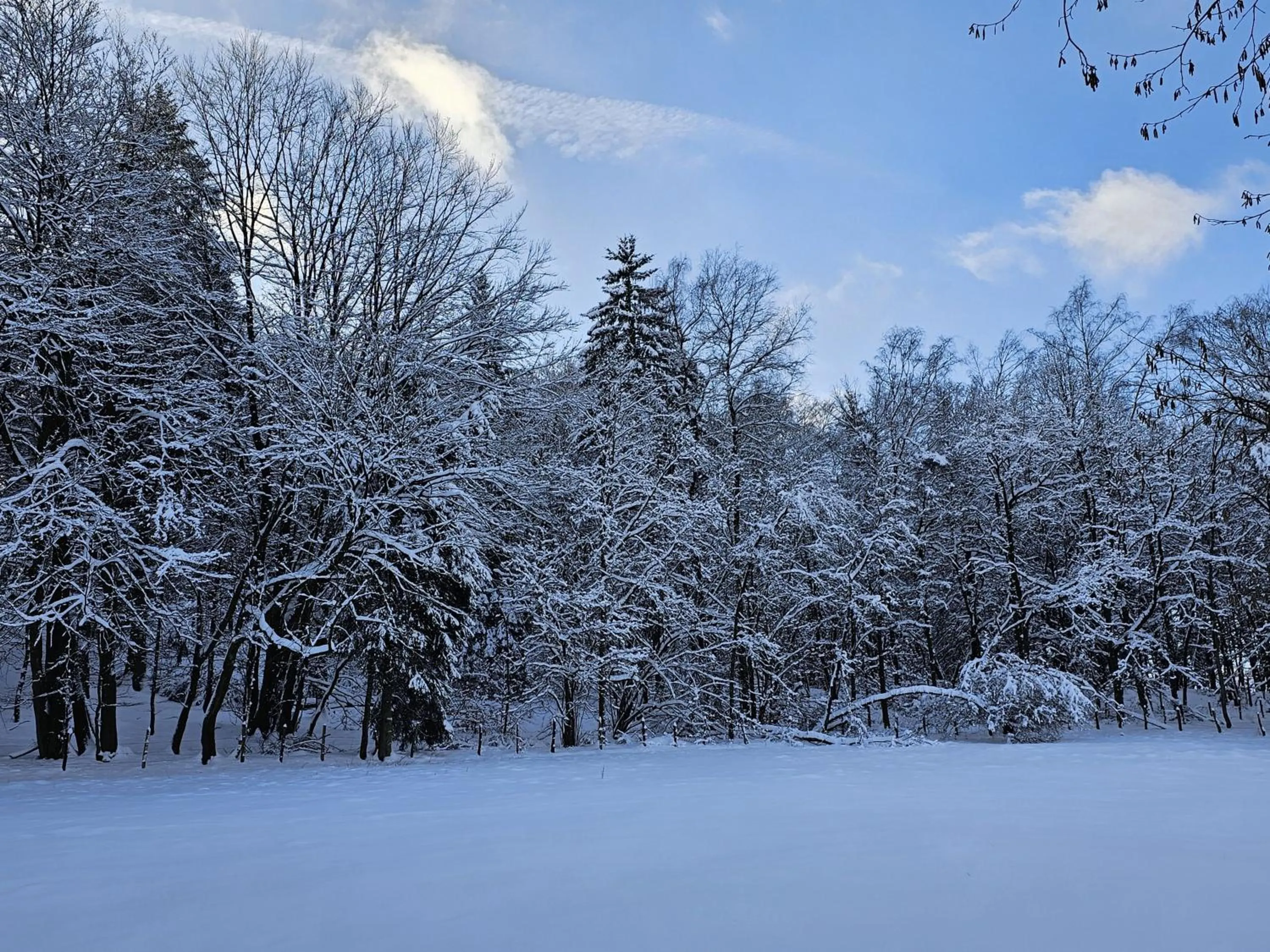 Natural landscape in Landhotel Halbfas-Alterauge