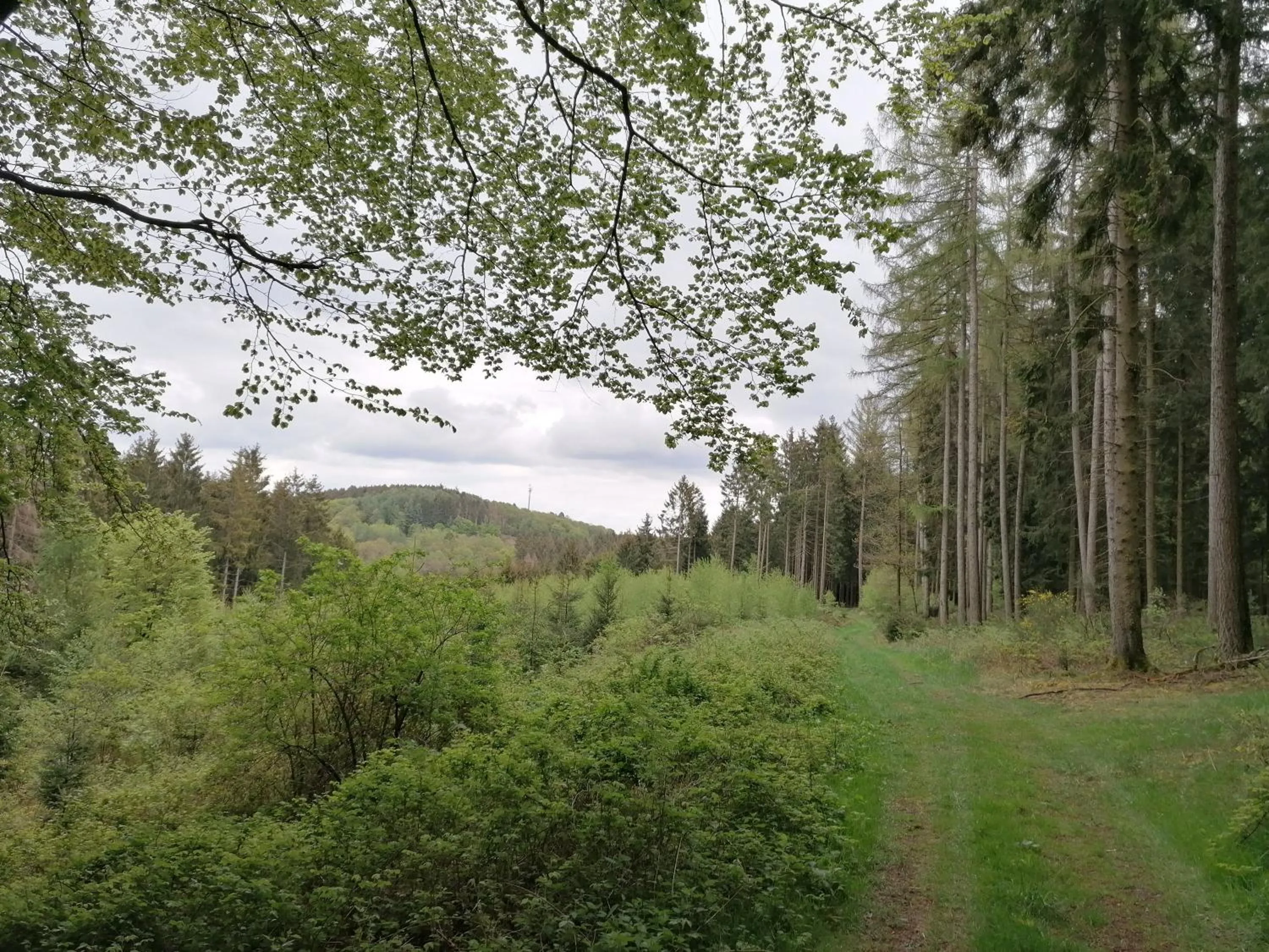 Spring in Landhotel Halbfas-Alterauge