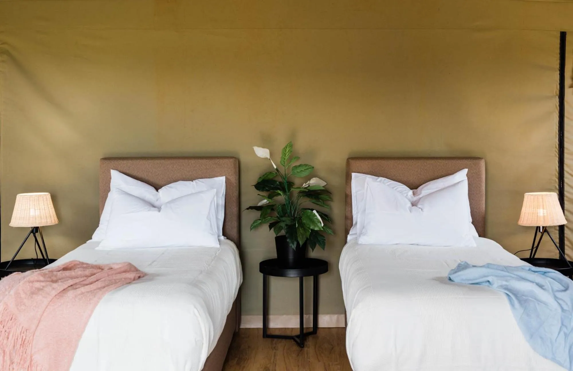 Bed in Mitchell Grass Retreat