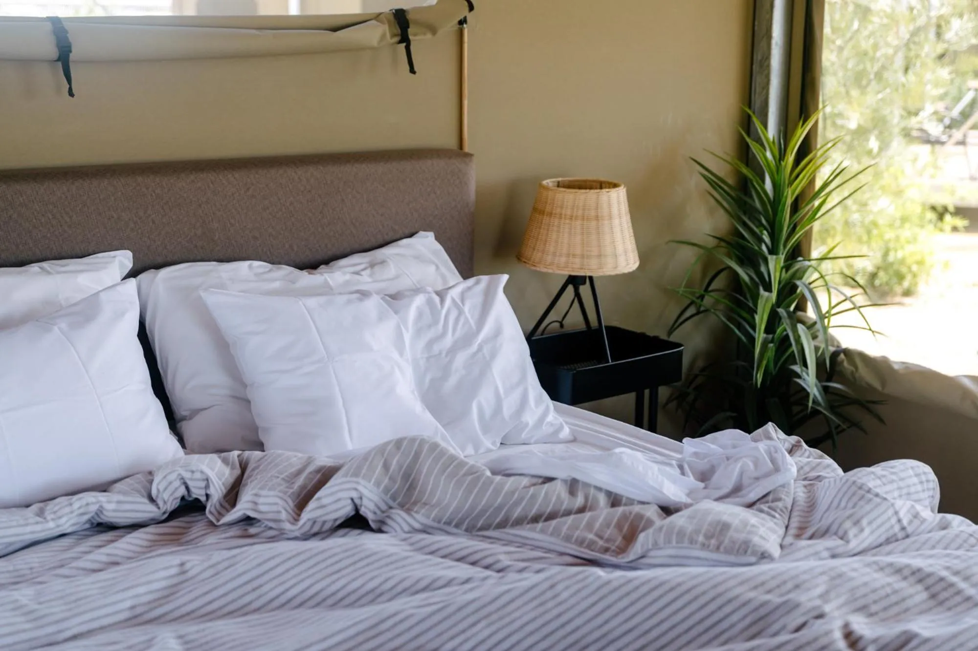 Bed in Mitchell Grass Retreat