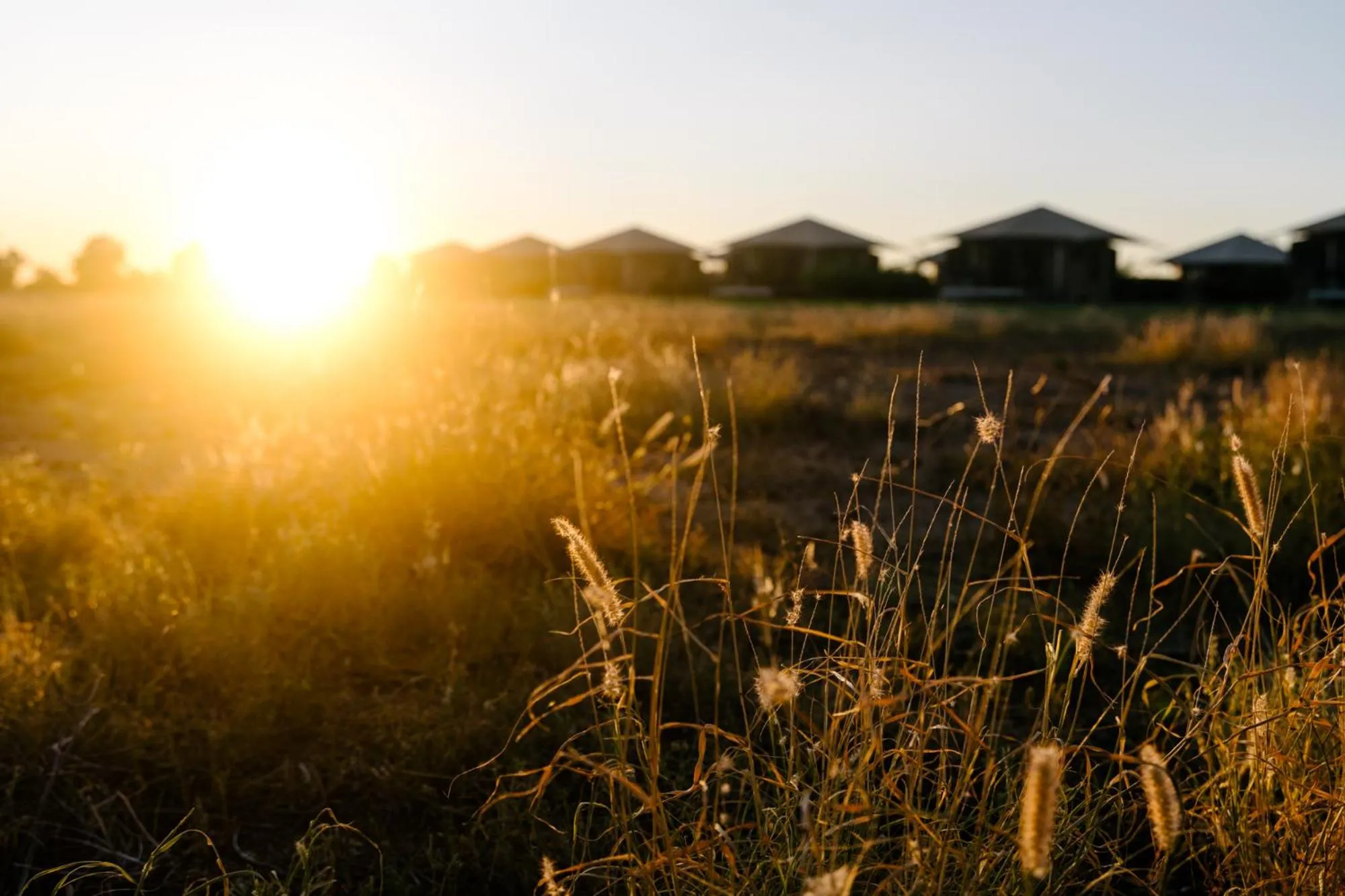 Property building in Mitchell Grass Retreat