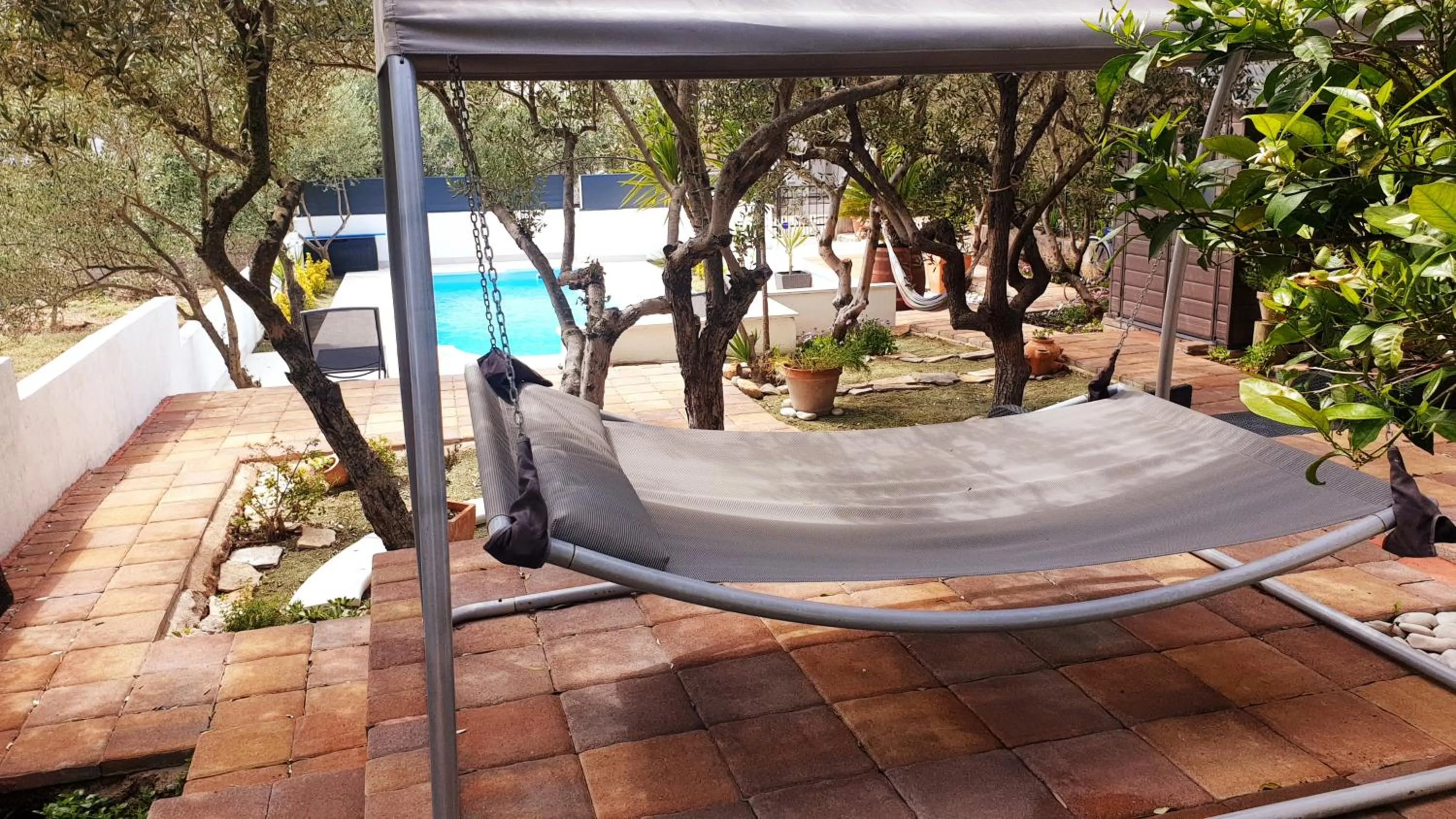 furniture, Swimming Pool in House with big walled oliva garden