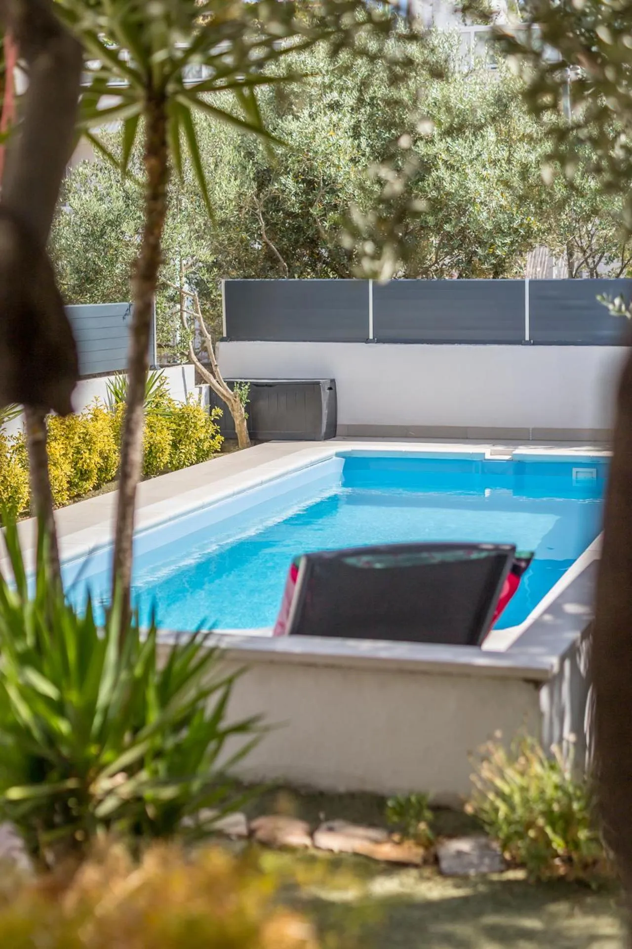 Swimming Pool in House with big walled oliva garden