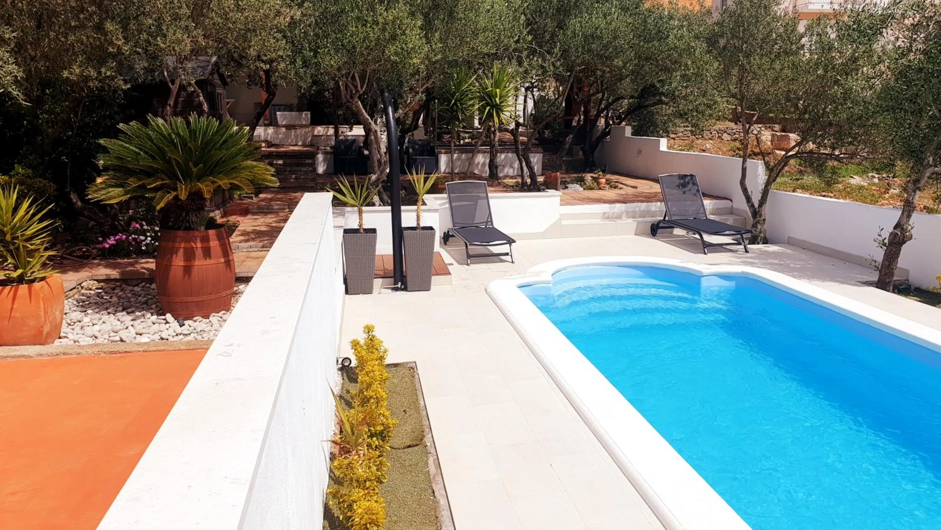 Swimming Pool in House with big walled oliva garden