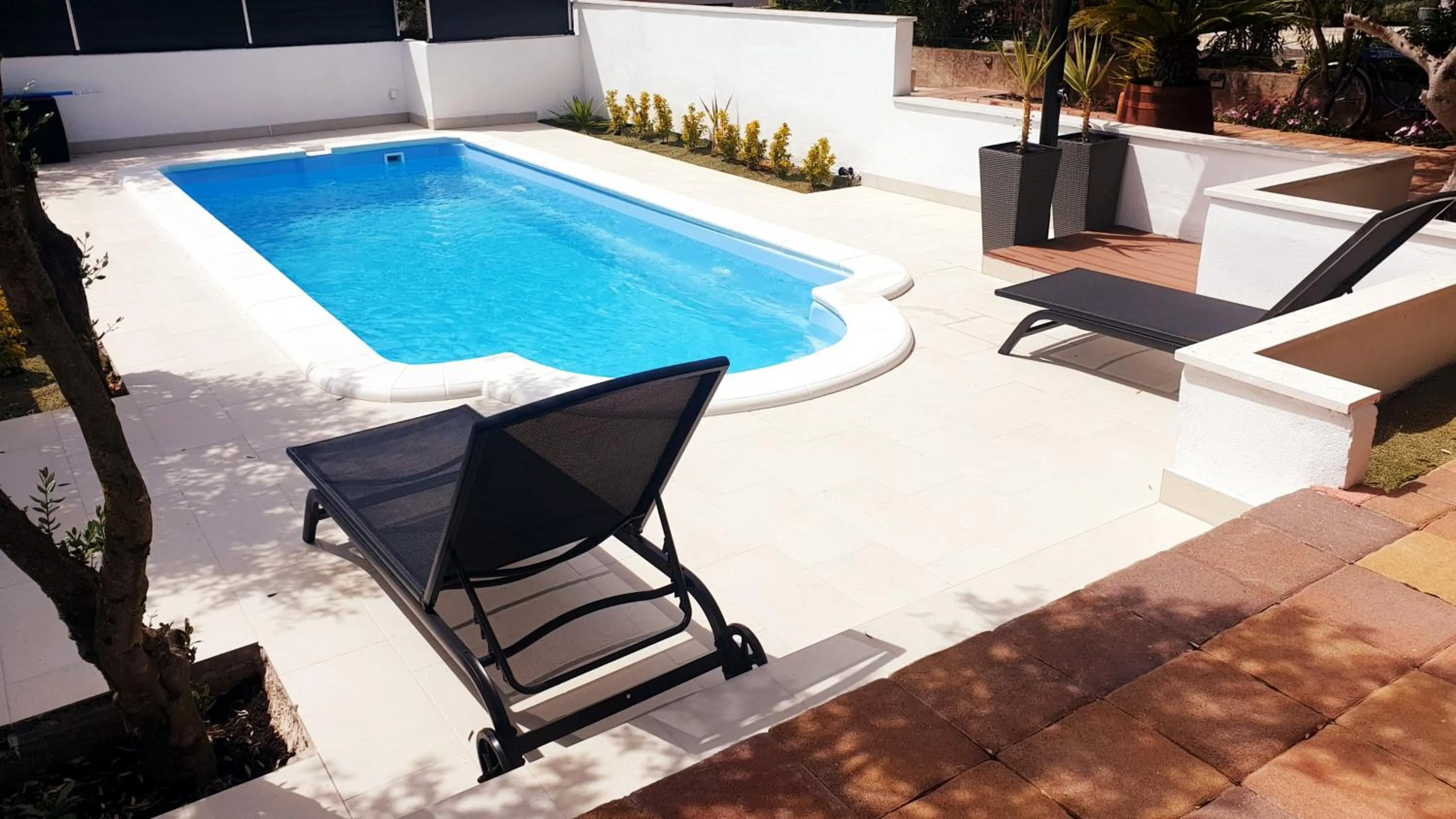 Swimming Pool in House with big walled oliva garden