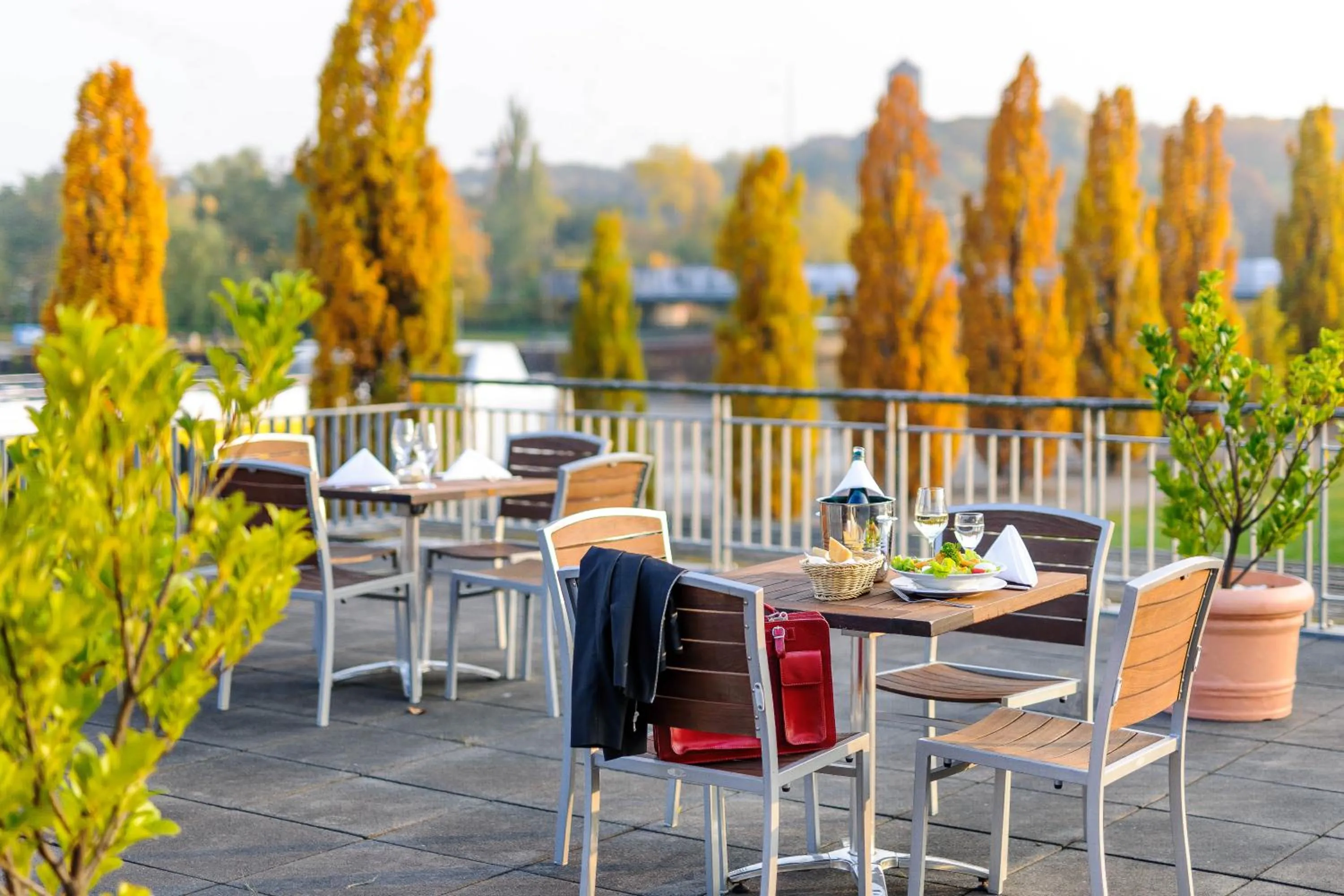 Restaurant/places to eat in Mercure Hotel Potsdam City