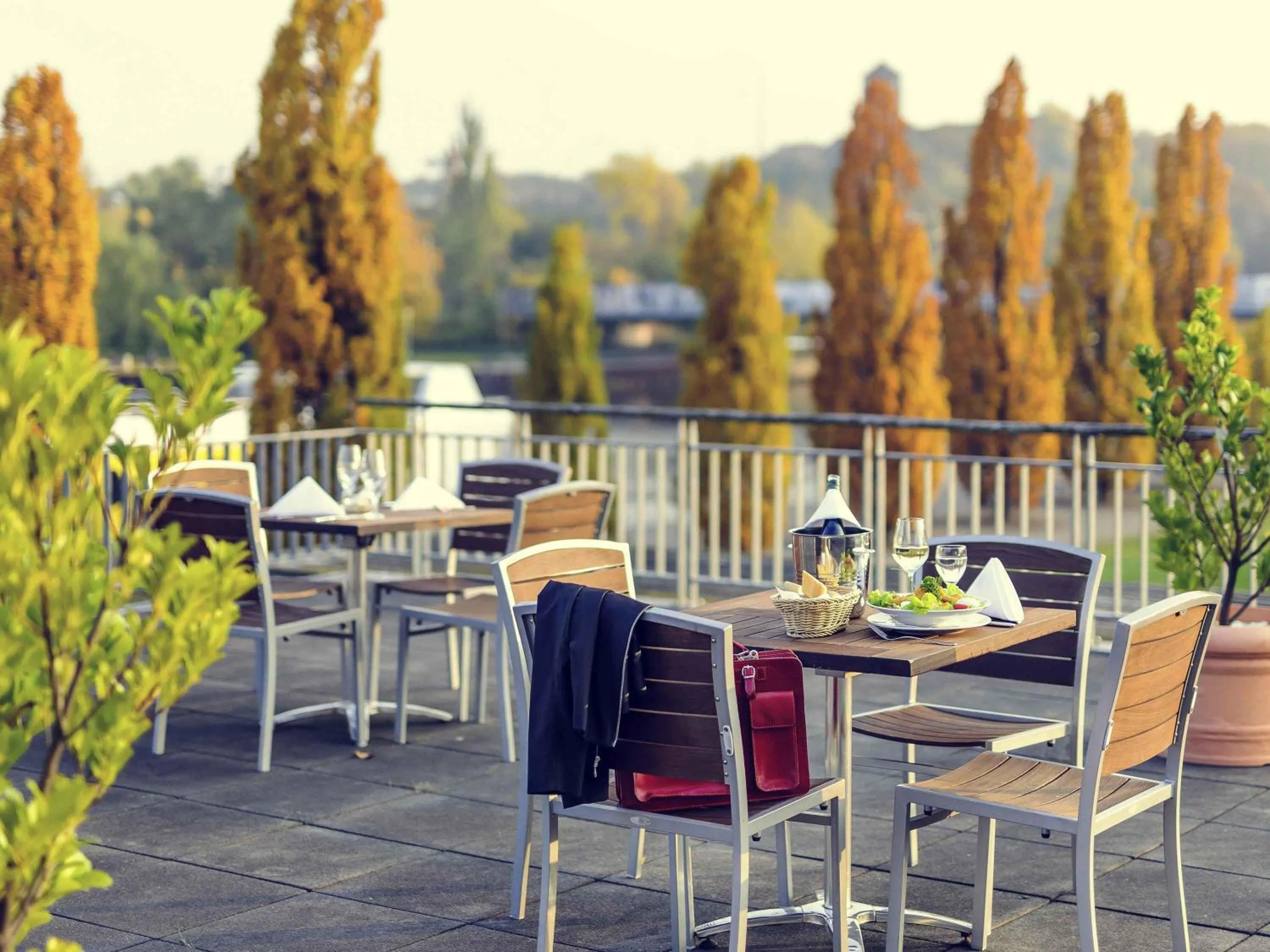 Restaurant/places to eat in Mercure Hotel Potsdam City