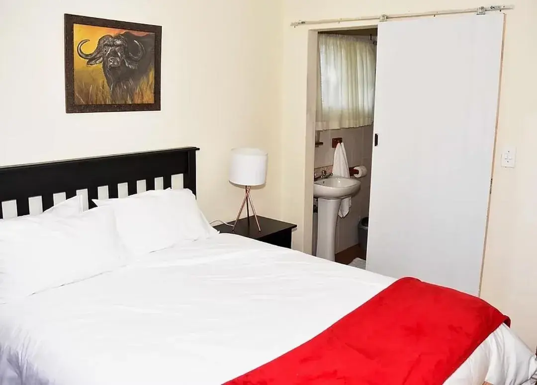 Double Room - single occupancy in Siesta B&B Vryheid Double Room - single occupancy in Siesta B&B Vryheid