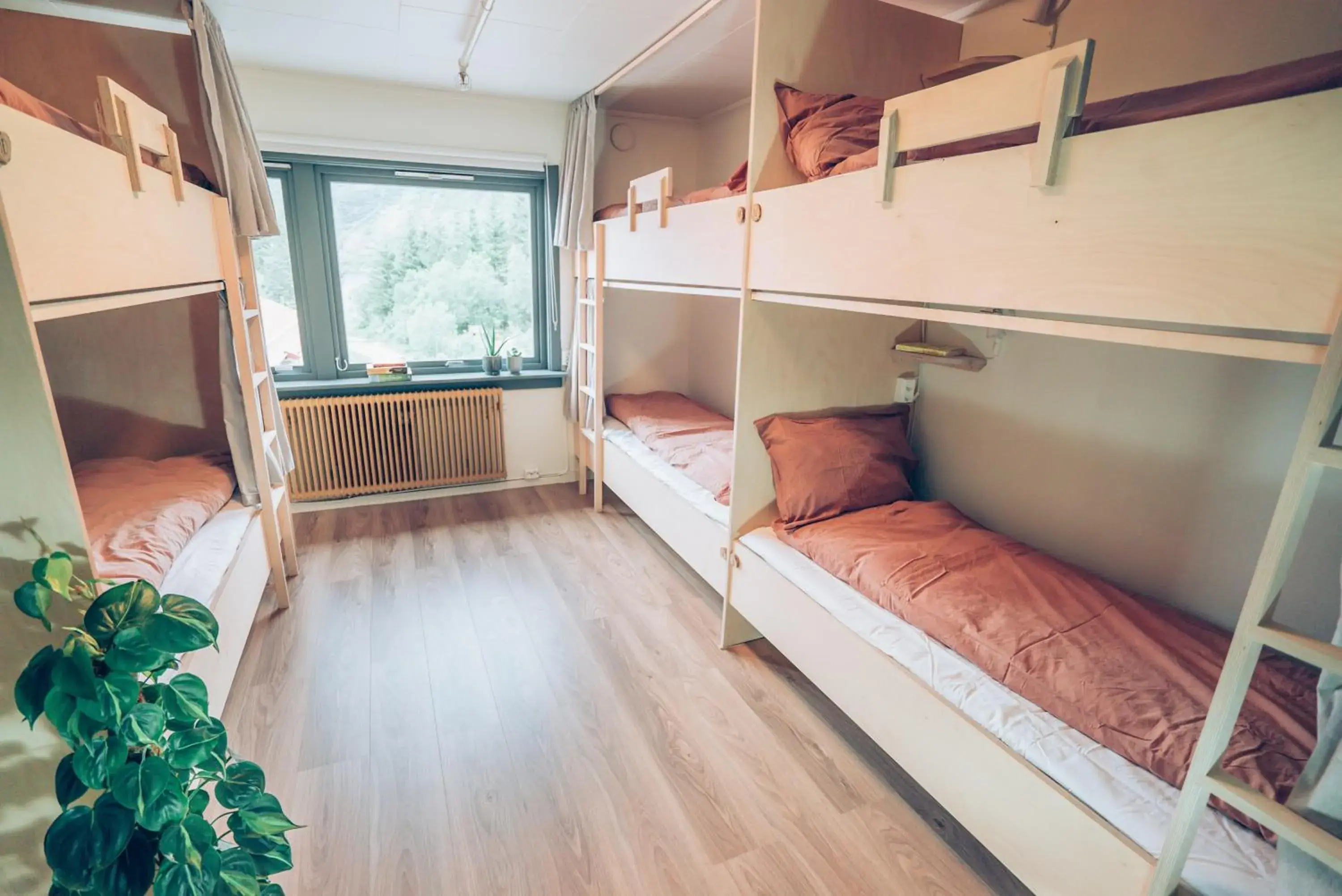 Bed in 6-Bed Mixed Dormitory Room in FURU Hostel & Café Bed in 6-Bed Mixed Dormitory Room in FURU Hostel & Café