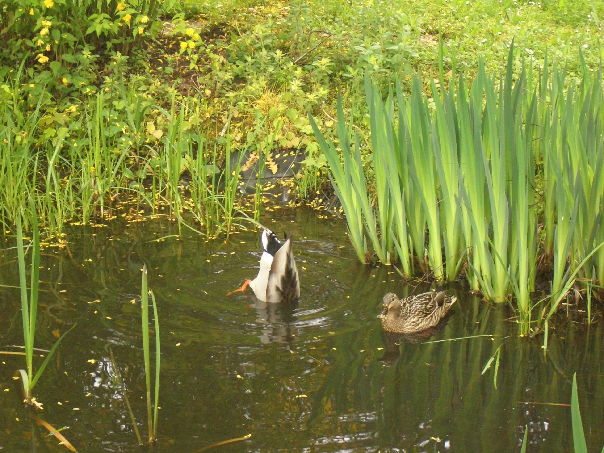 Natural landscape in Hotel Battenfeld