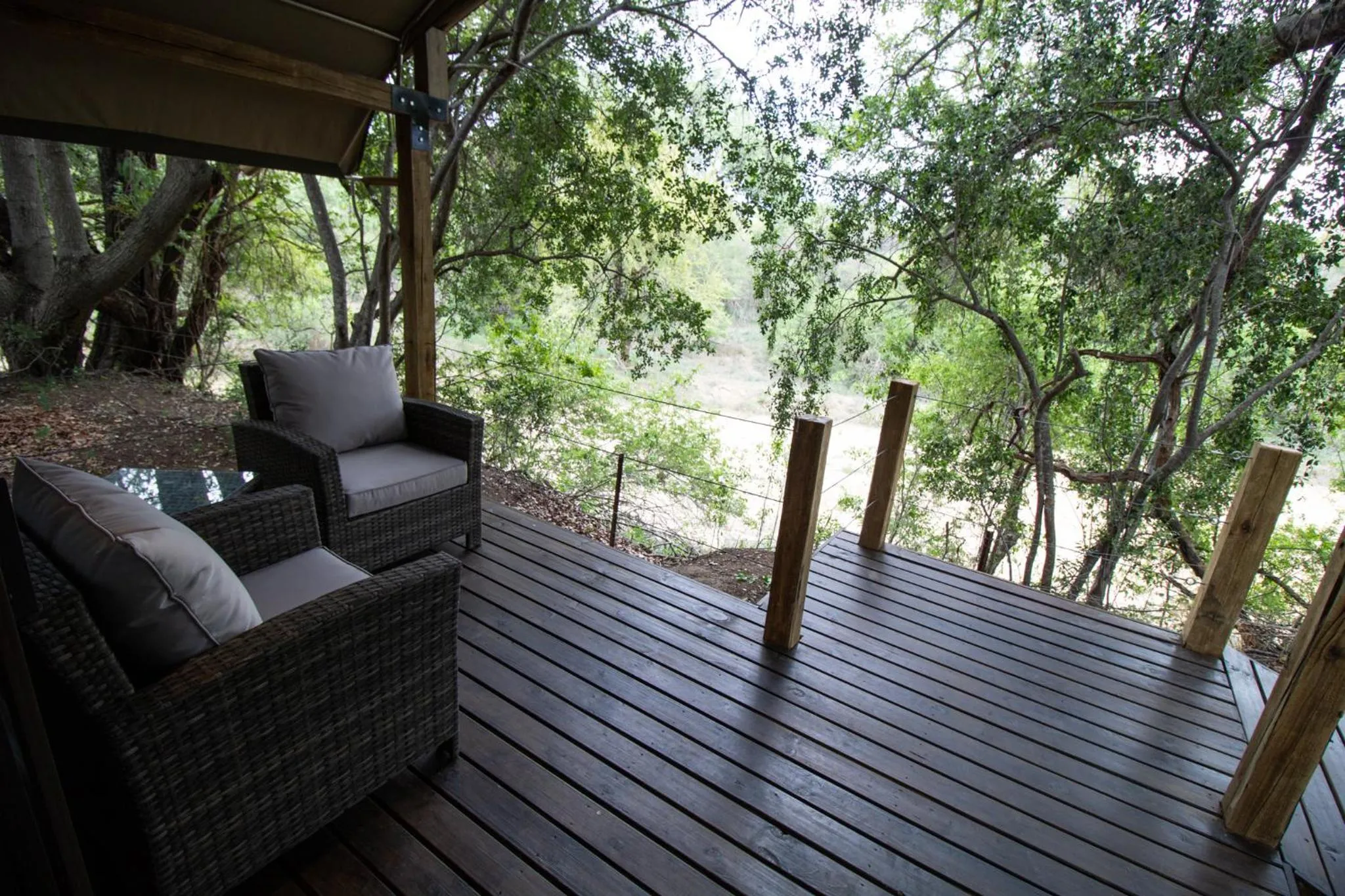 Balcony/Terrace in Little Africa Safari Lodge