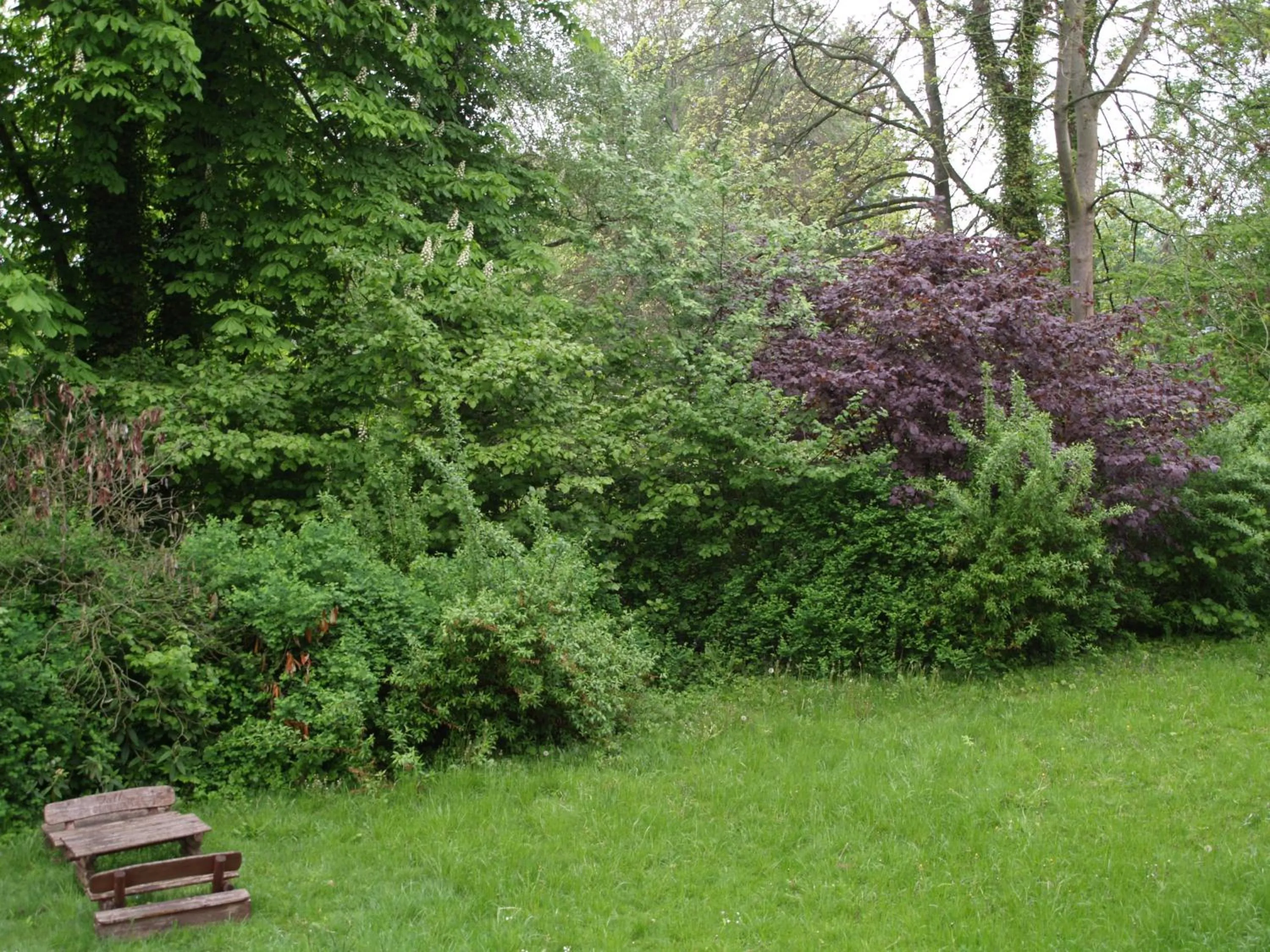 Apparthotel am Friedrichspark