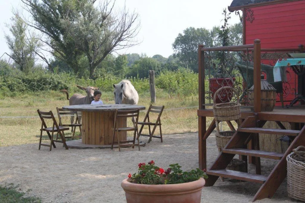 La roulotte "Les Saintes"