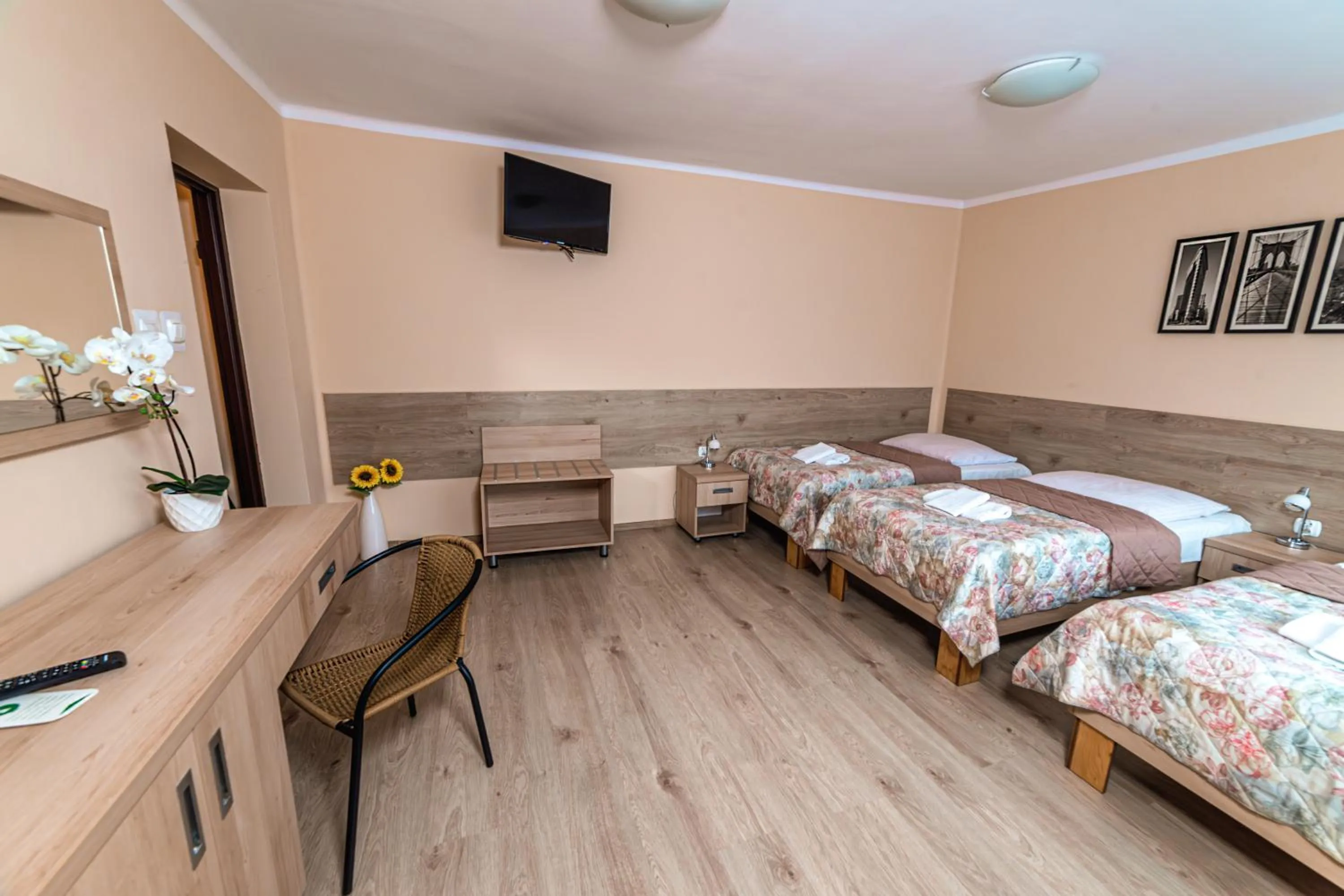 TV and multimedia, Bed in Hotel Skaut