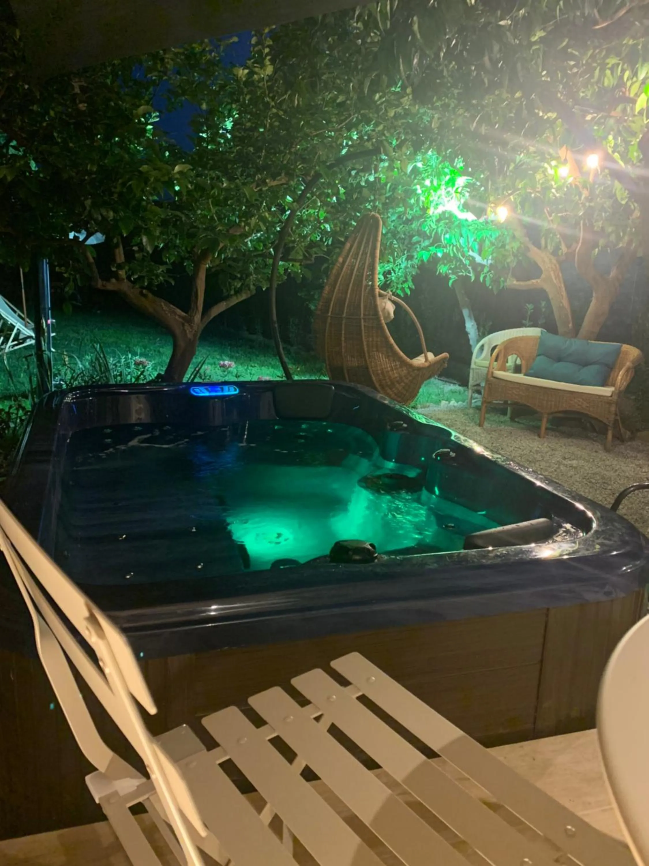 Il giardino dei limoni